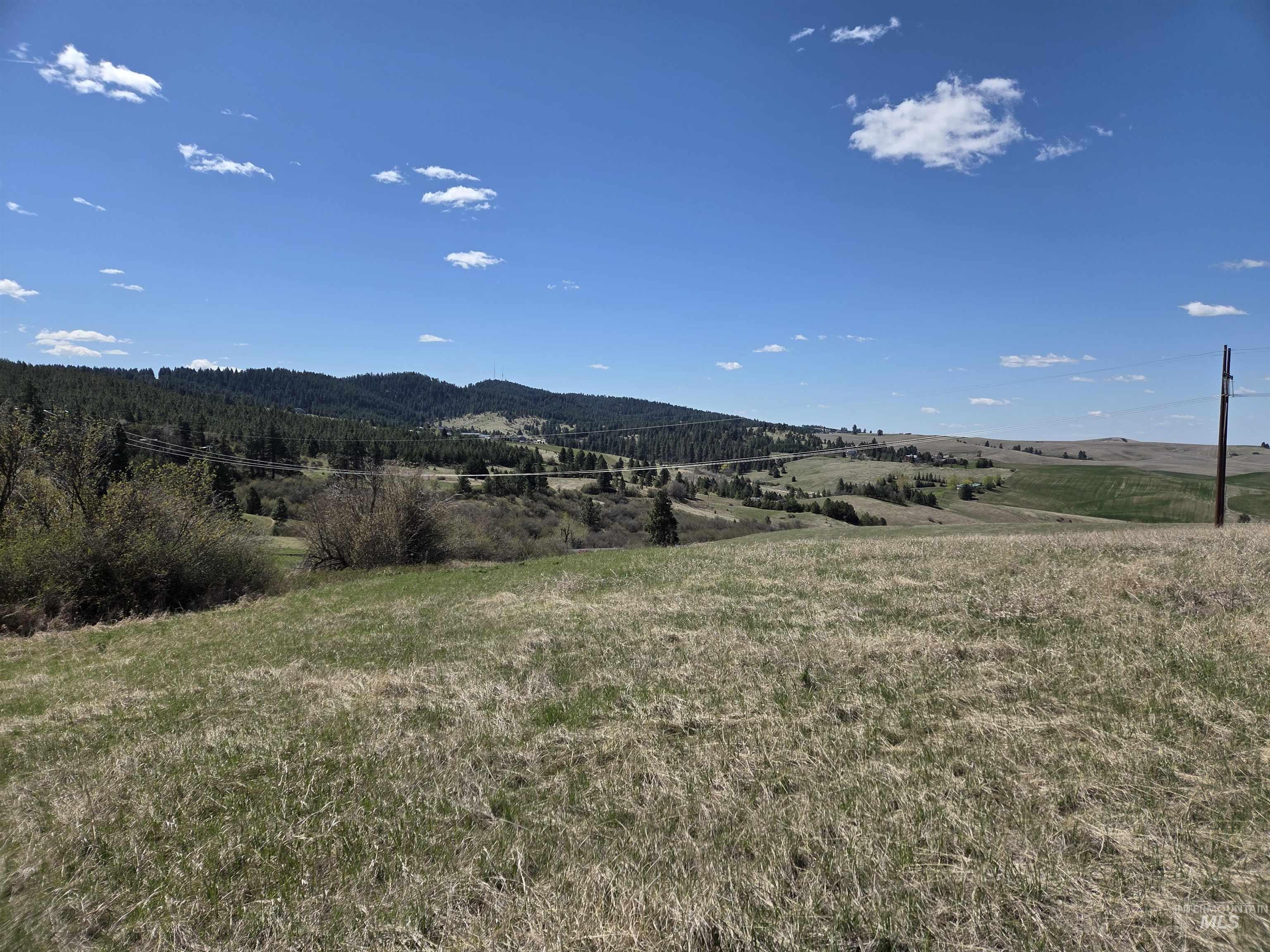 Tbd Lenville Road Property Photo 36