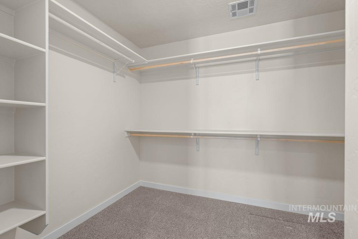 10436 Bellevue Ridge St Property Photo 11