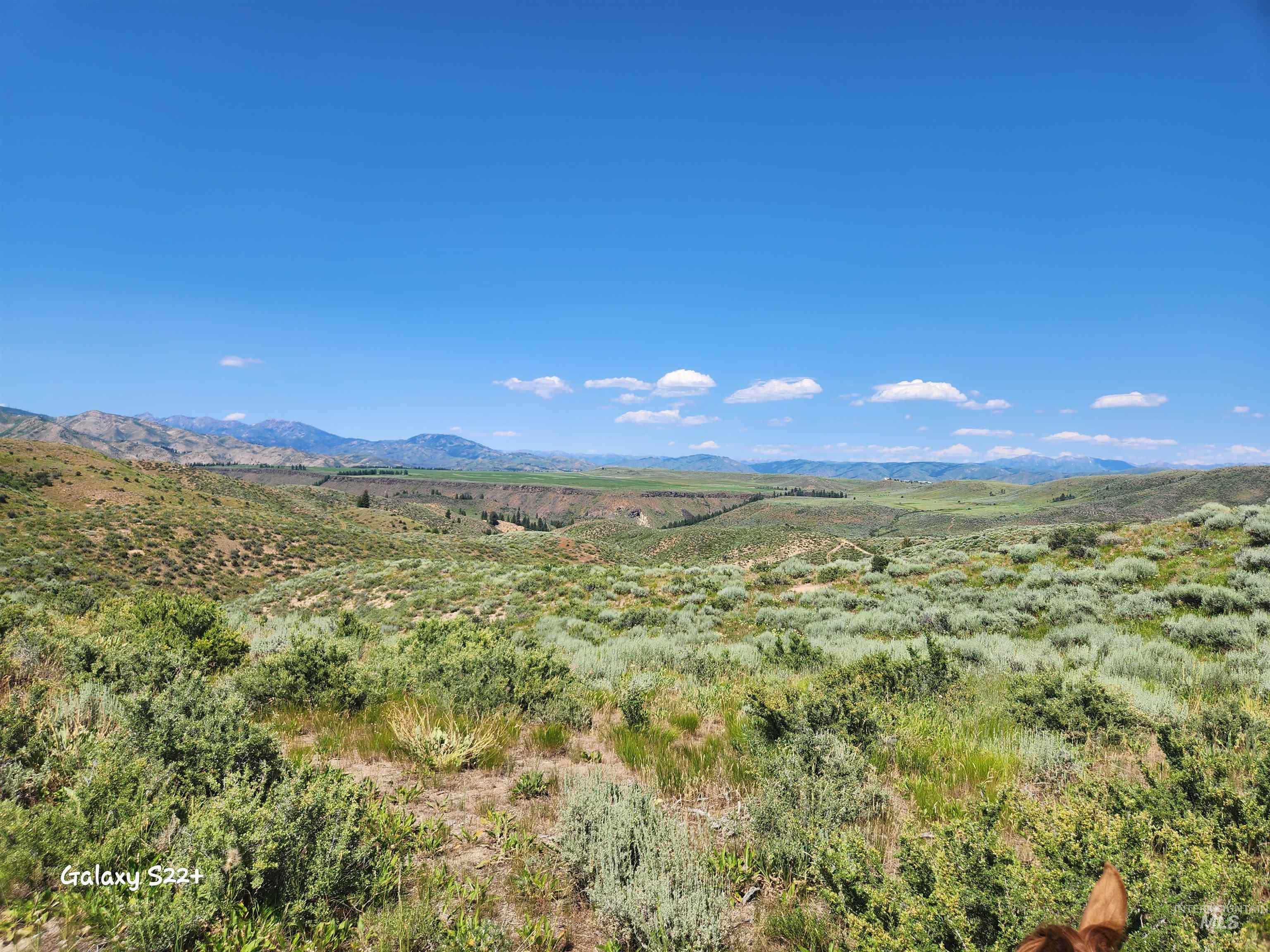 Ray Hunt Ranch Property Photo 17