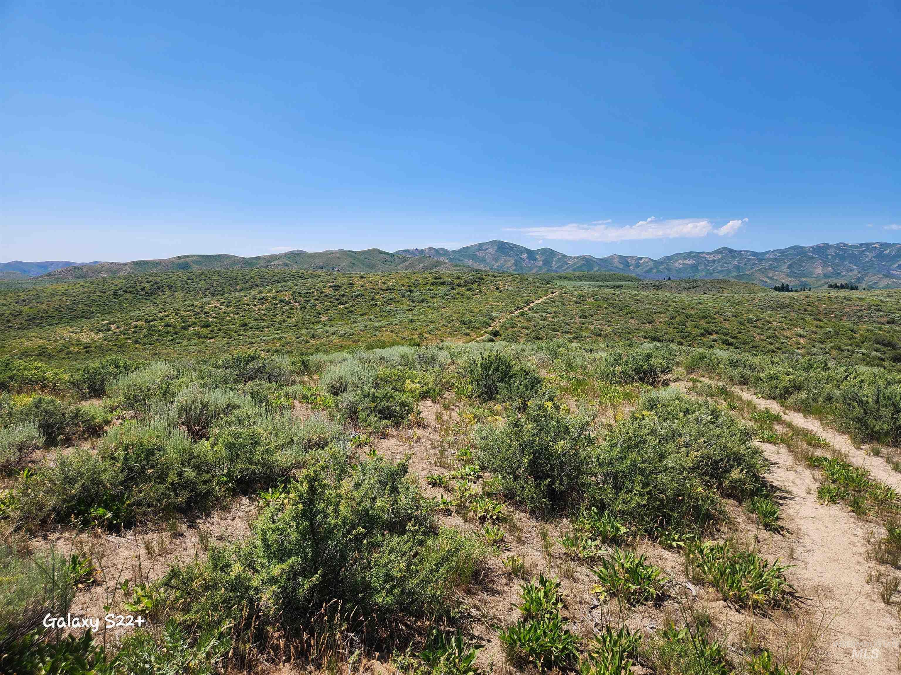 Ray Hunt Ranch Property Photo 18