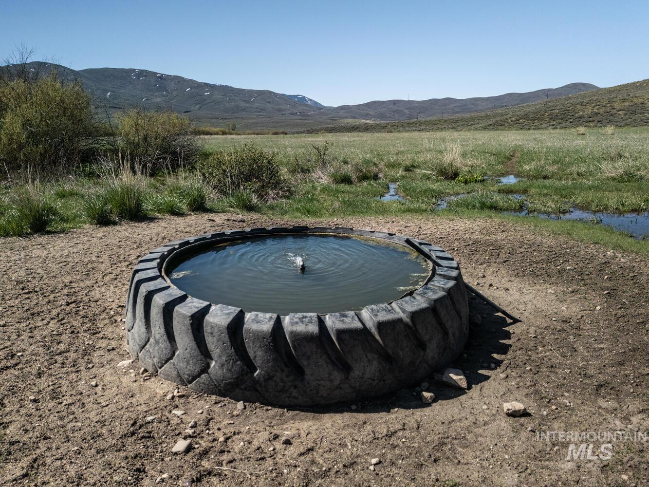 Ray Hunt Ranch Property Photo 23