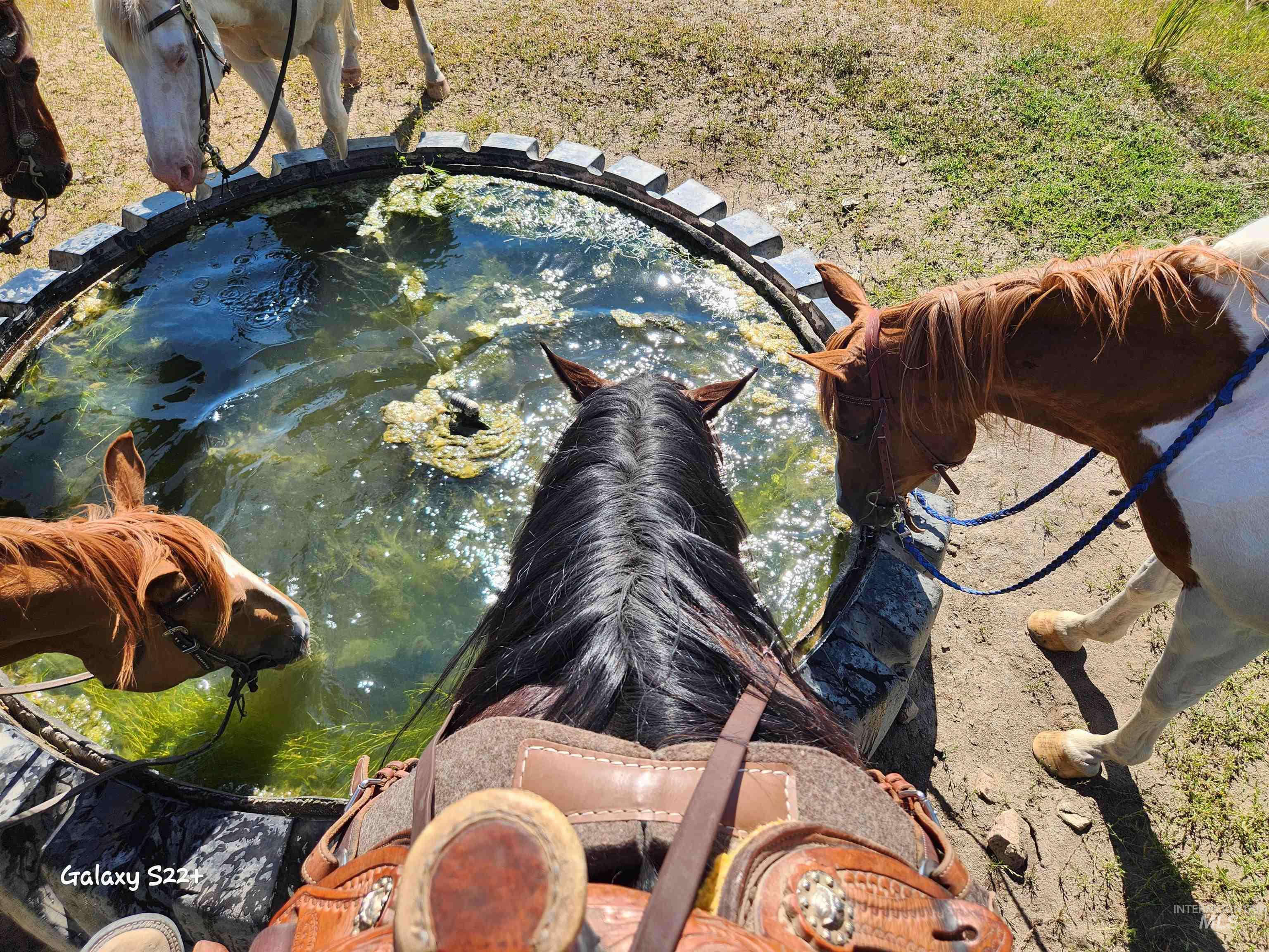 Ray Hunt Ranch Property Photo 24