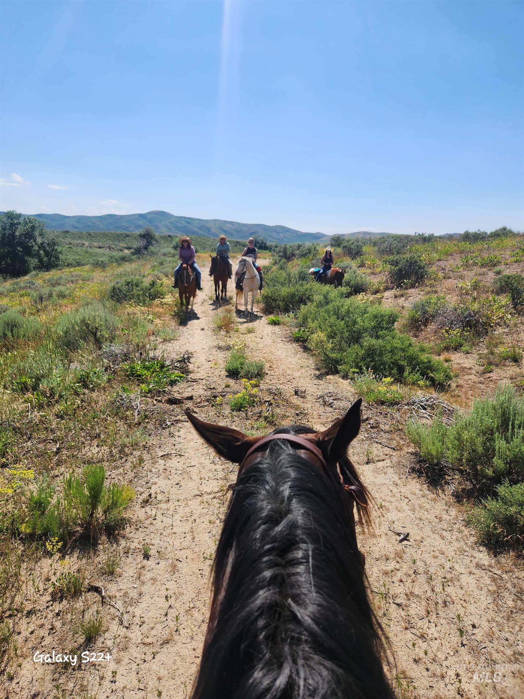 Ray Hunt Ranch Property Photo 26
