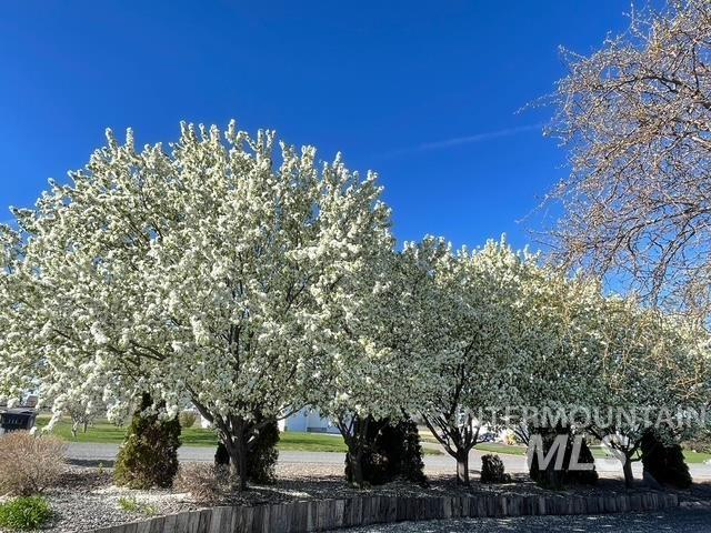 2554 E 3708 N Property Photo 5