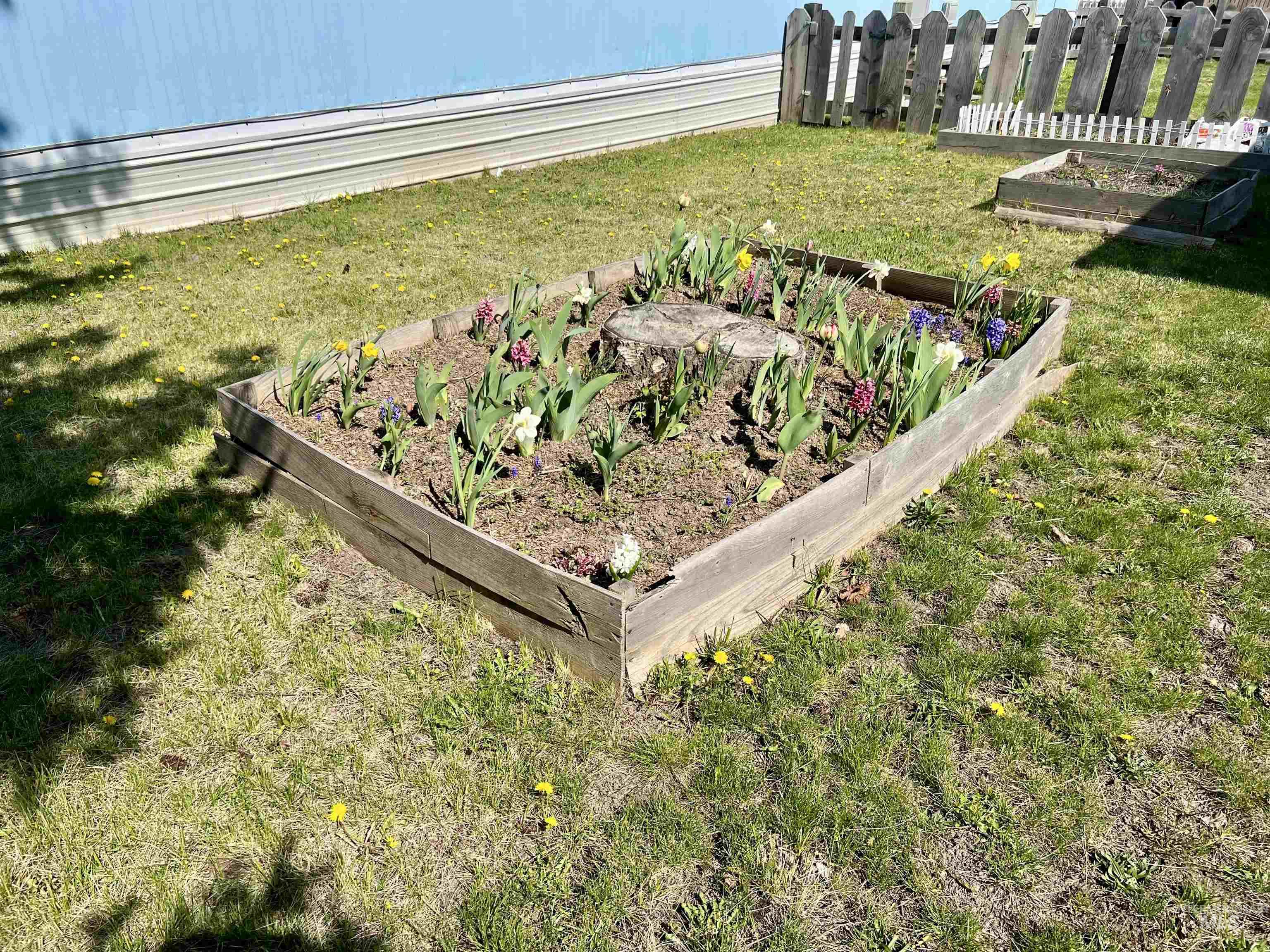 411 N Almon Property Photo 3