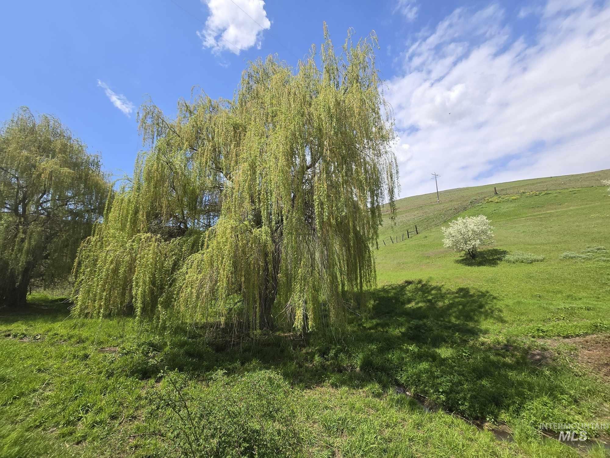 22132 Lapwai Rd Property Photo 5