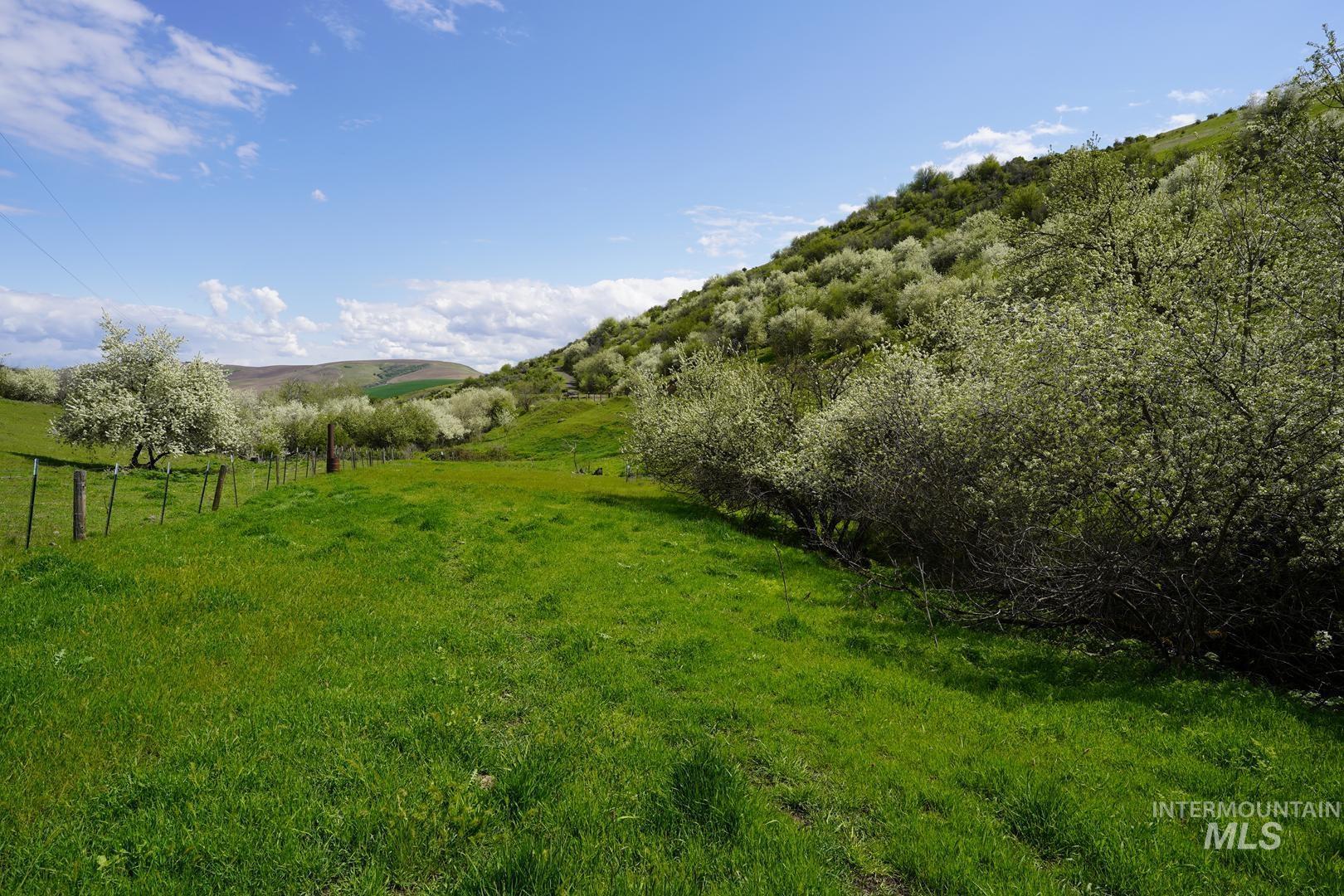 22132 Lapwai Rd Property Photo 6