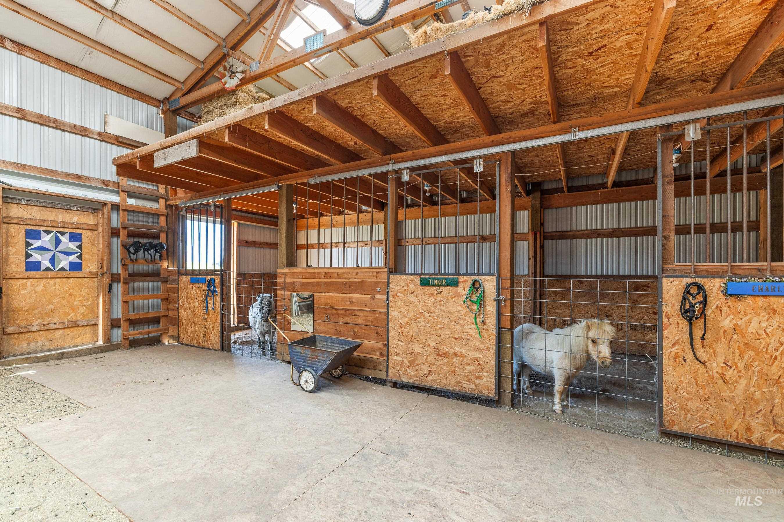 584 Whitewater Wilderness Drive Property Photo 39