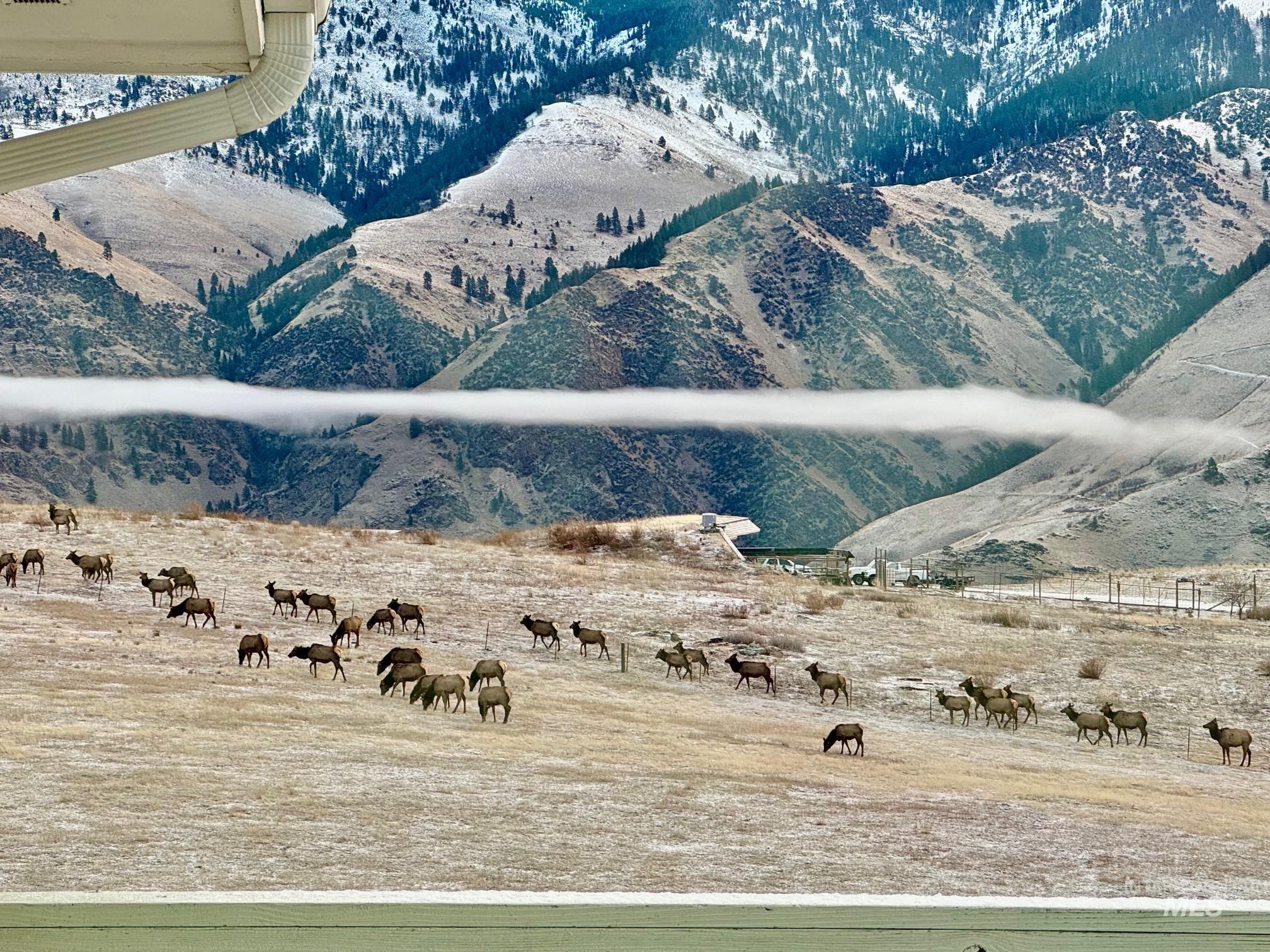 584 Whitewater Wilderness Drive Property Photo 50