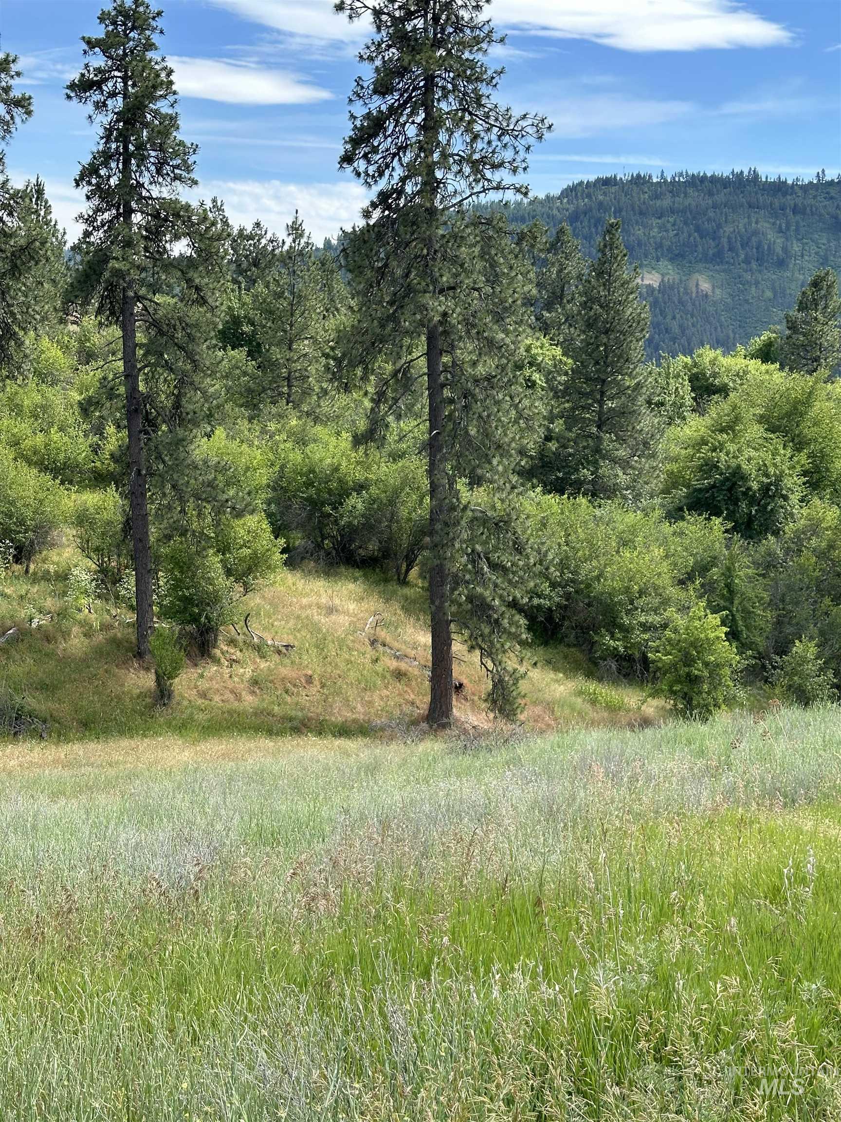 Nka Sunnyside Bench Rd. Property Photo