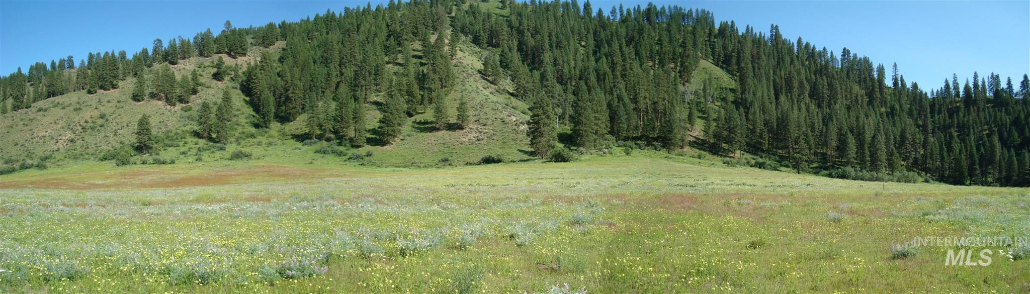 Tbd Blk 1 Lot 5 Payette River Heights Property Photo