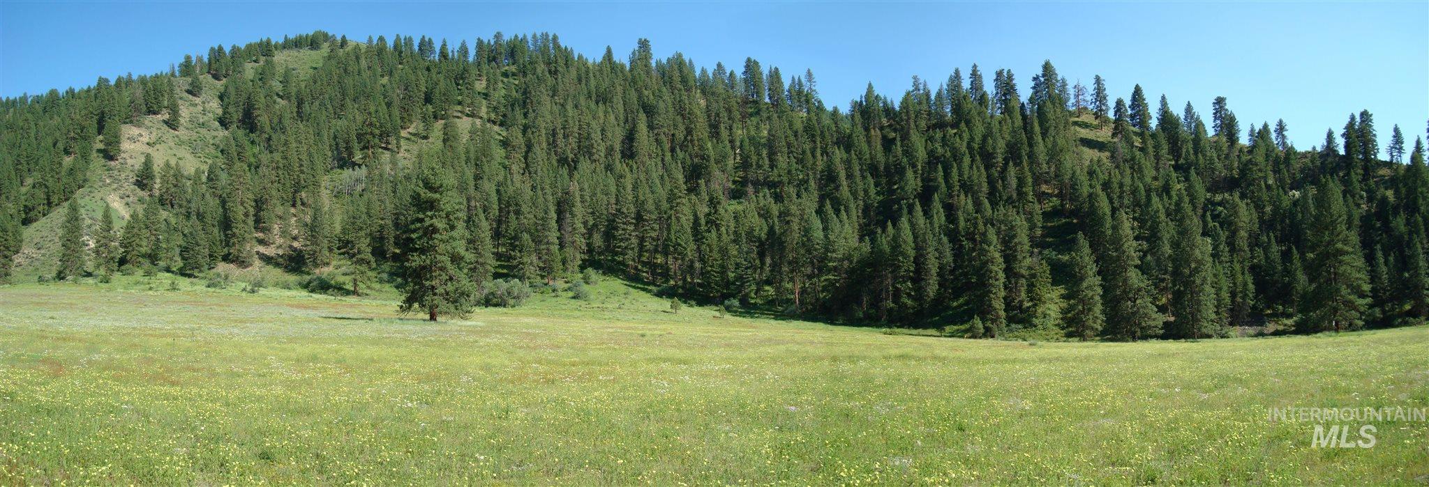 Tbd Blk 1 Lot 2 Payette River Heights Property Photo