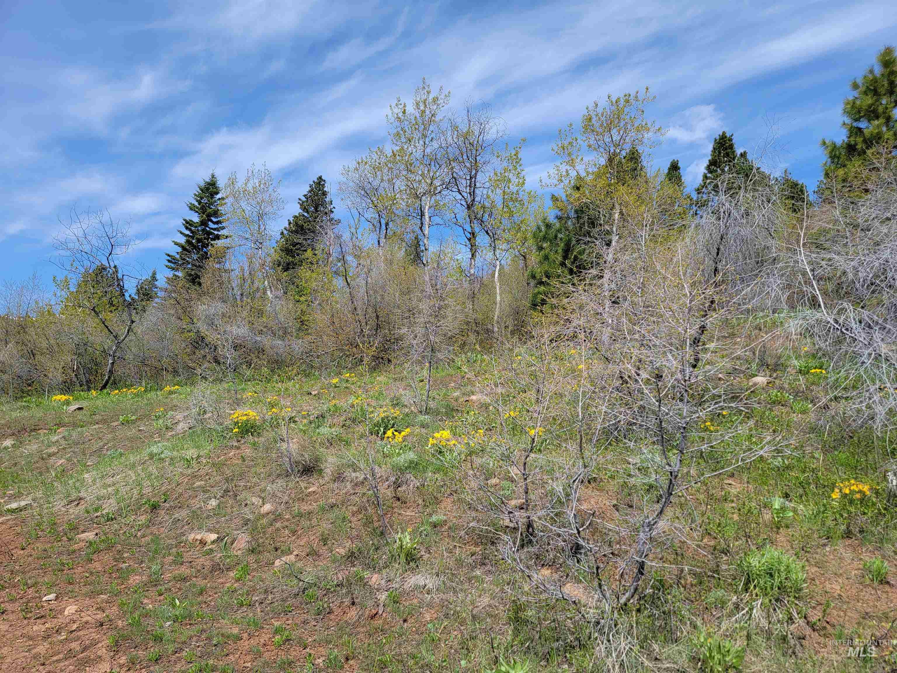 Tbd Tbd Property Photo