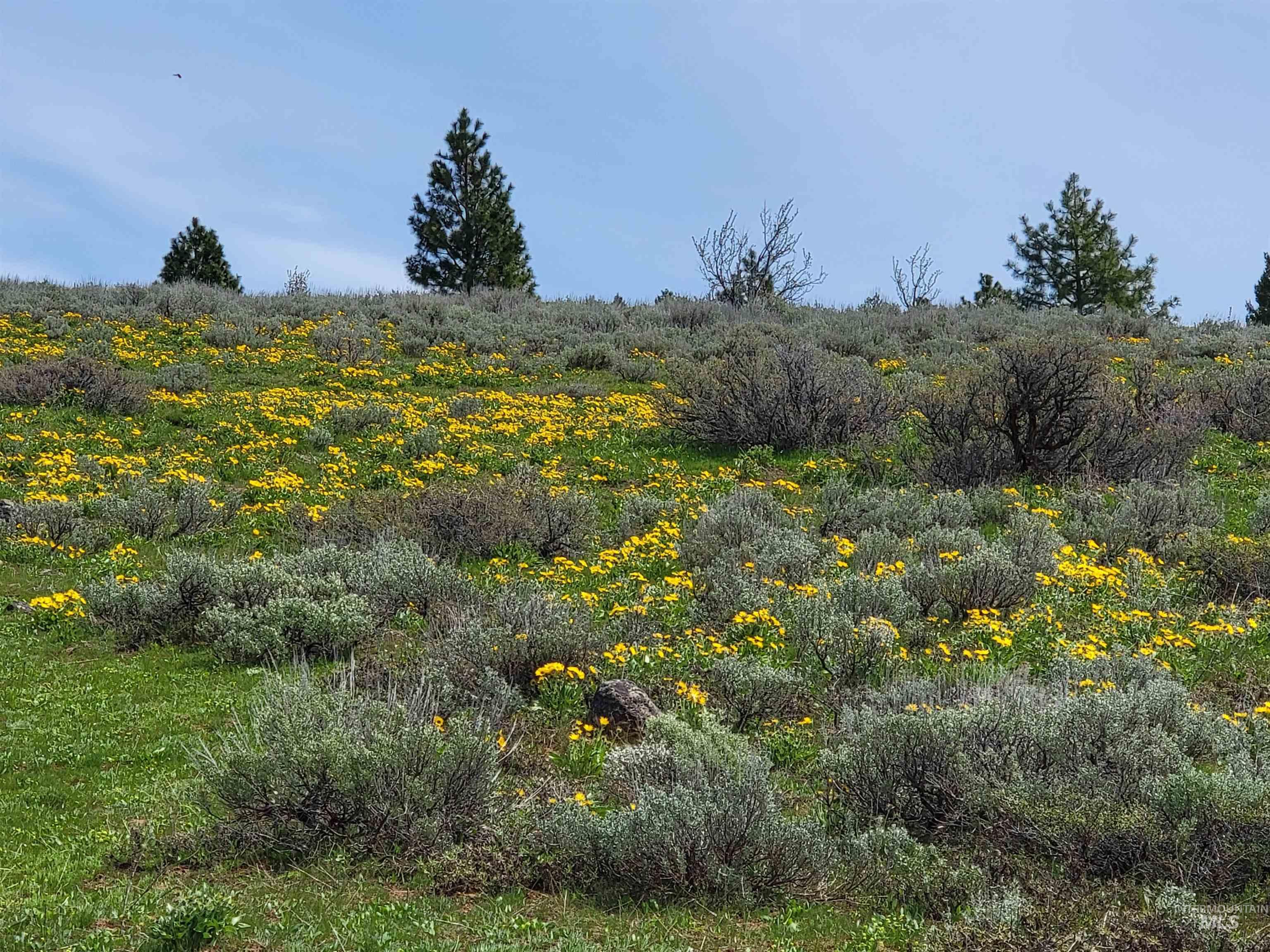 Tbd Tbd Property Photo 1