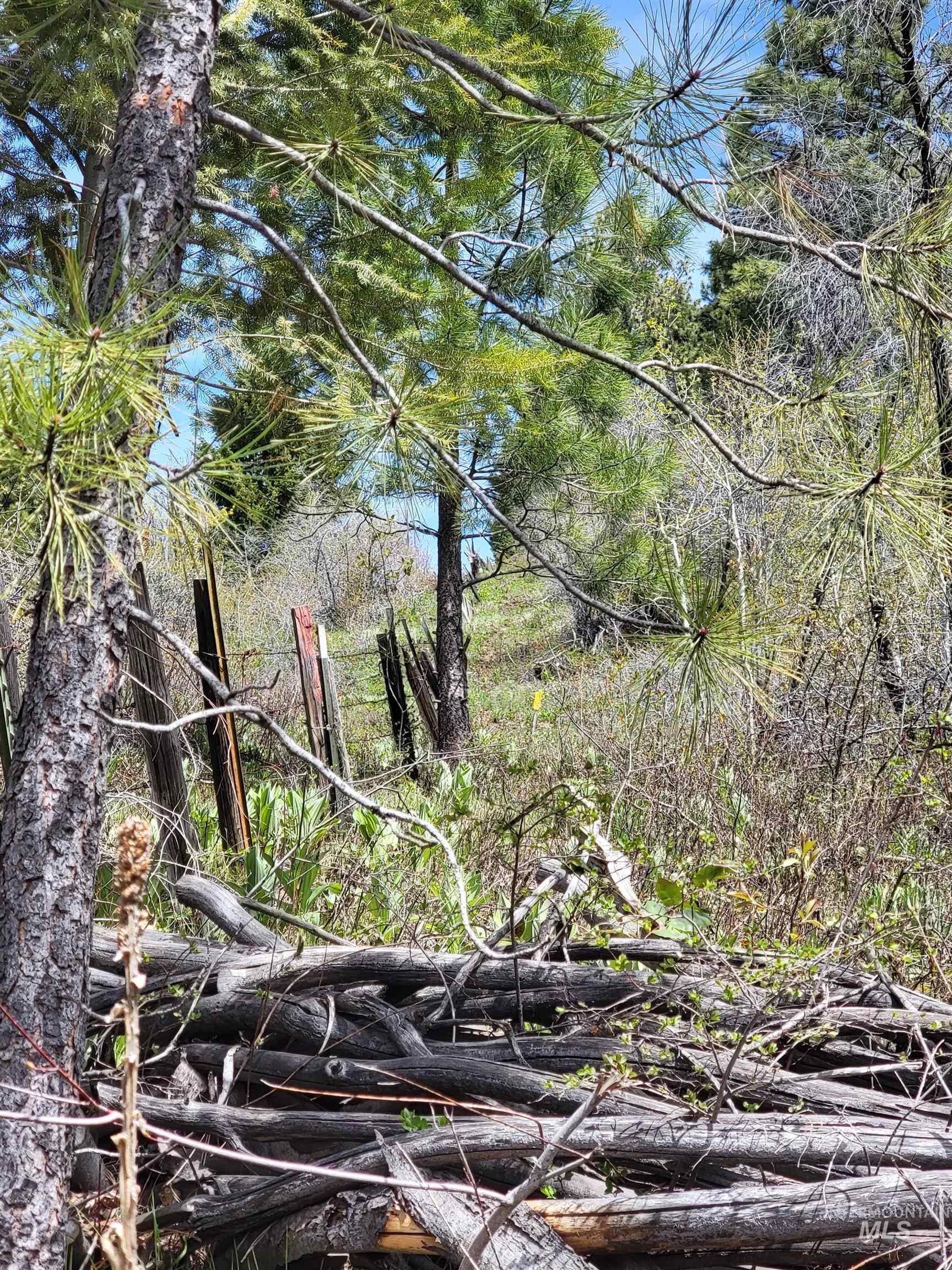 Tbd Tbd Property Photo 7