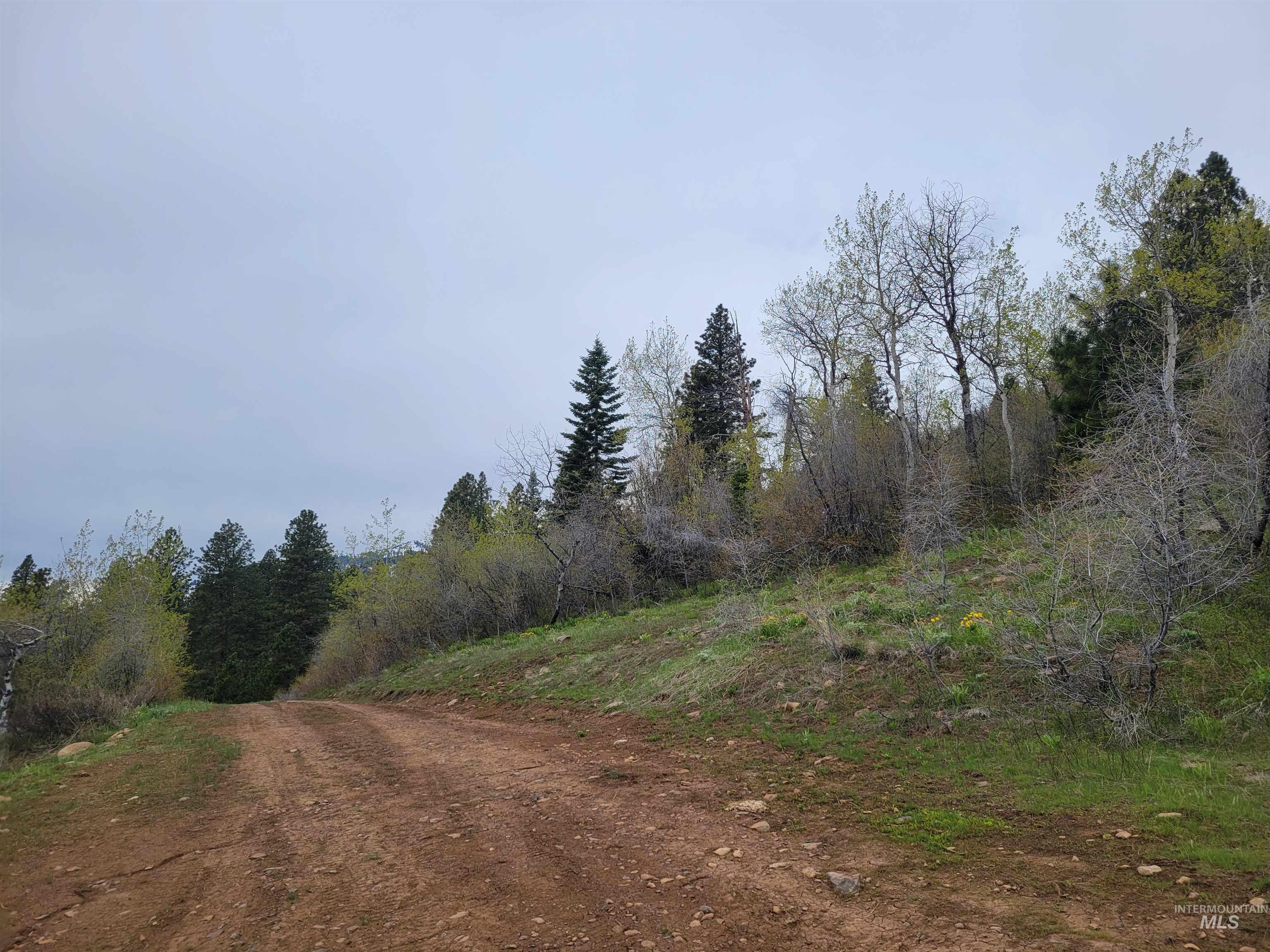 Tbd Tbd Property Photo 8