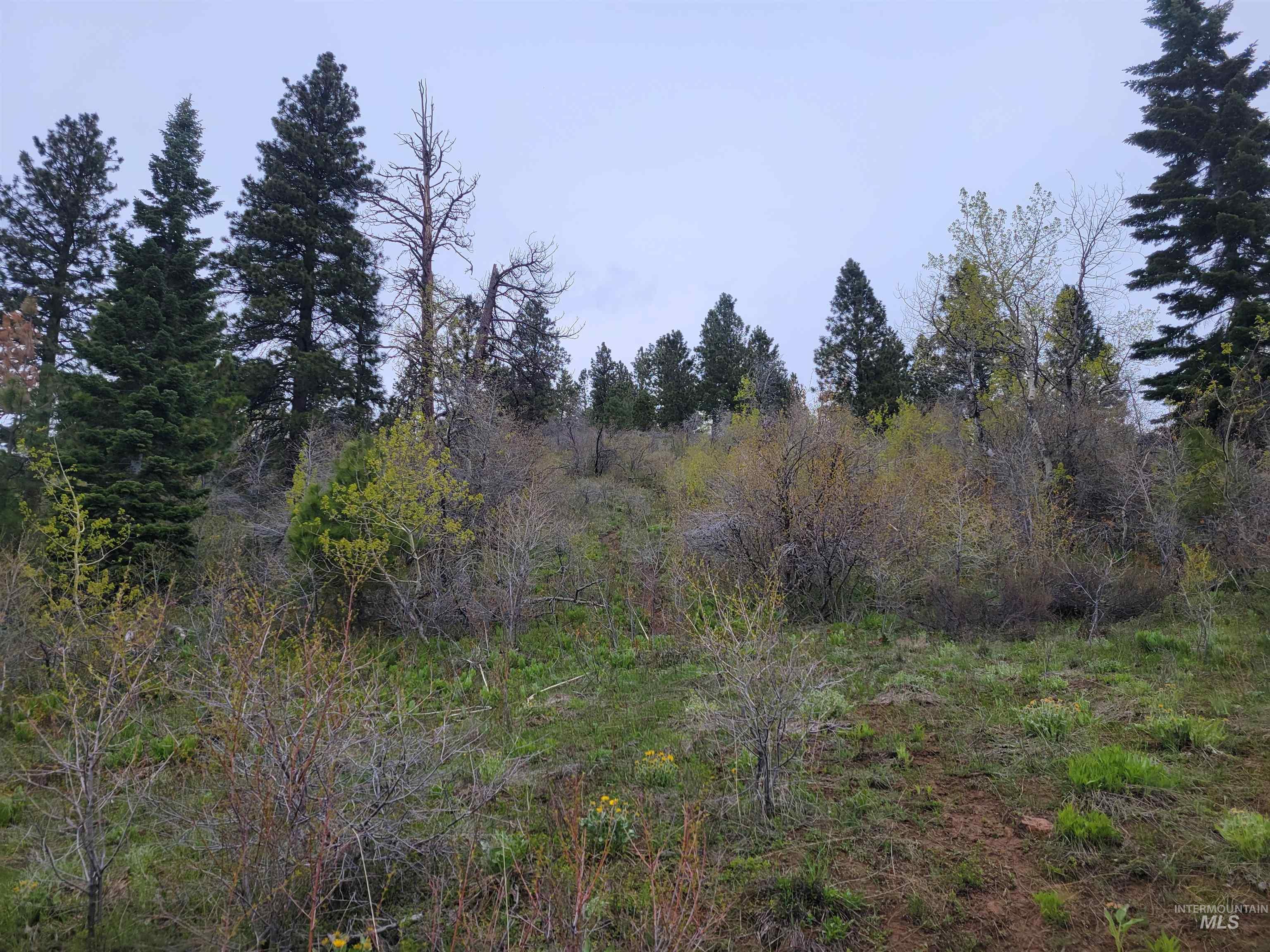 Tbd Tbd Property Photo 25