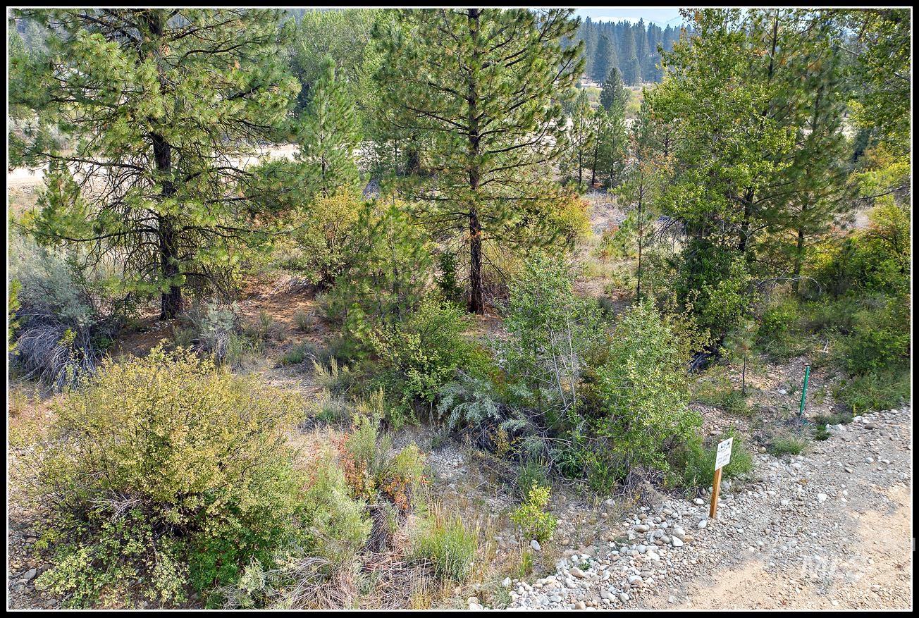 Idaho City Real Estate Listings Main Image