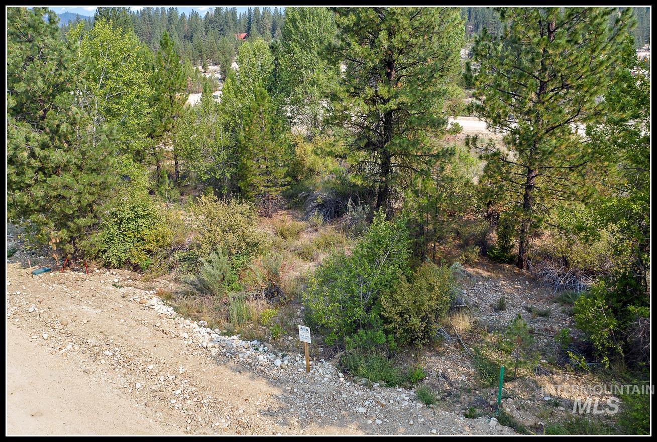 Lot 62 Mores Creek Dr Property Photo 2