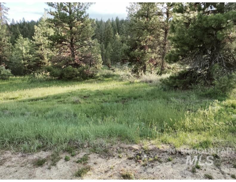Lot 20 Crow Lane Property Photo