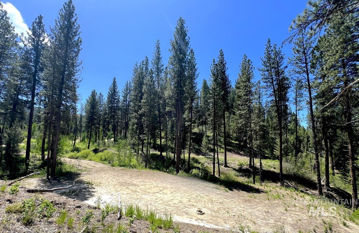 L16 B1 Shaw Gulch Road Property Photo