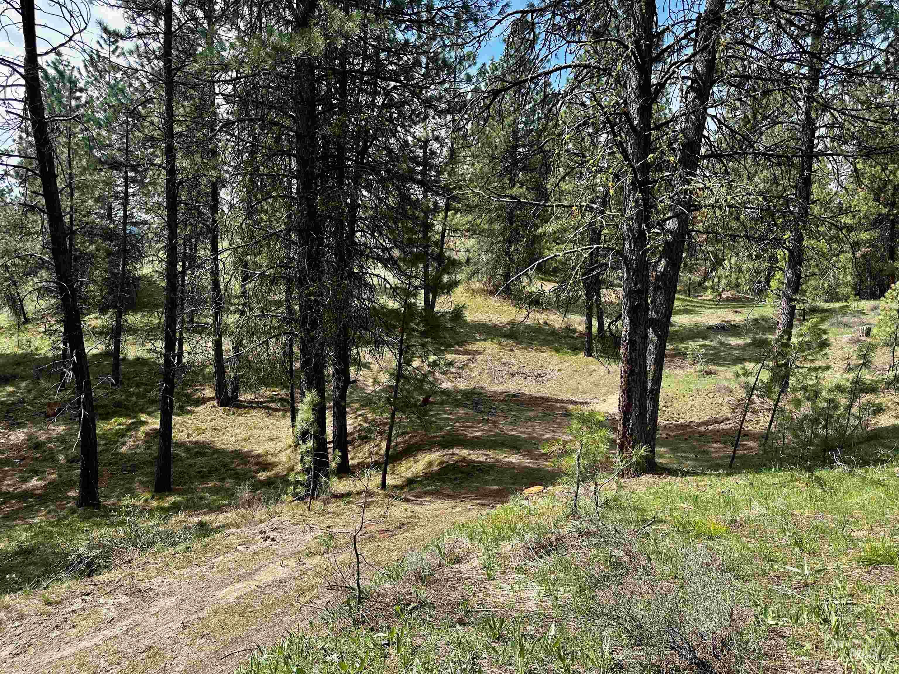 Tbd Midgaard Way - Tract 7 Property Photo 1