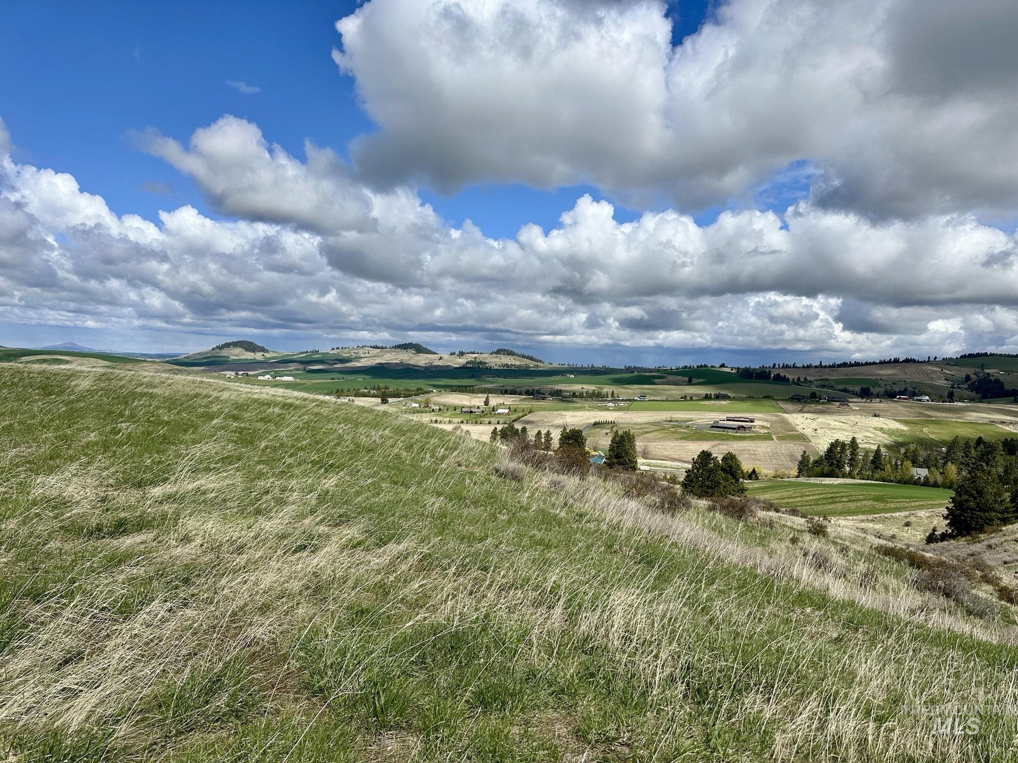 Tbd Bluebird Ln. Property Photo