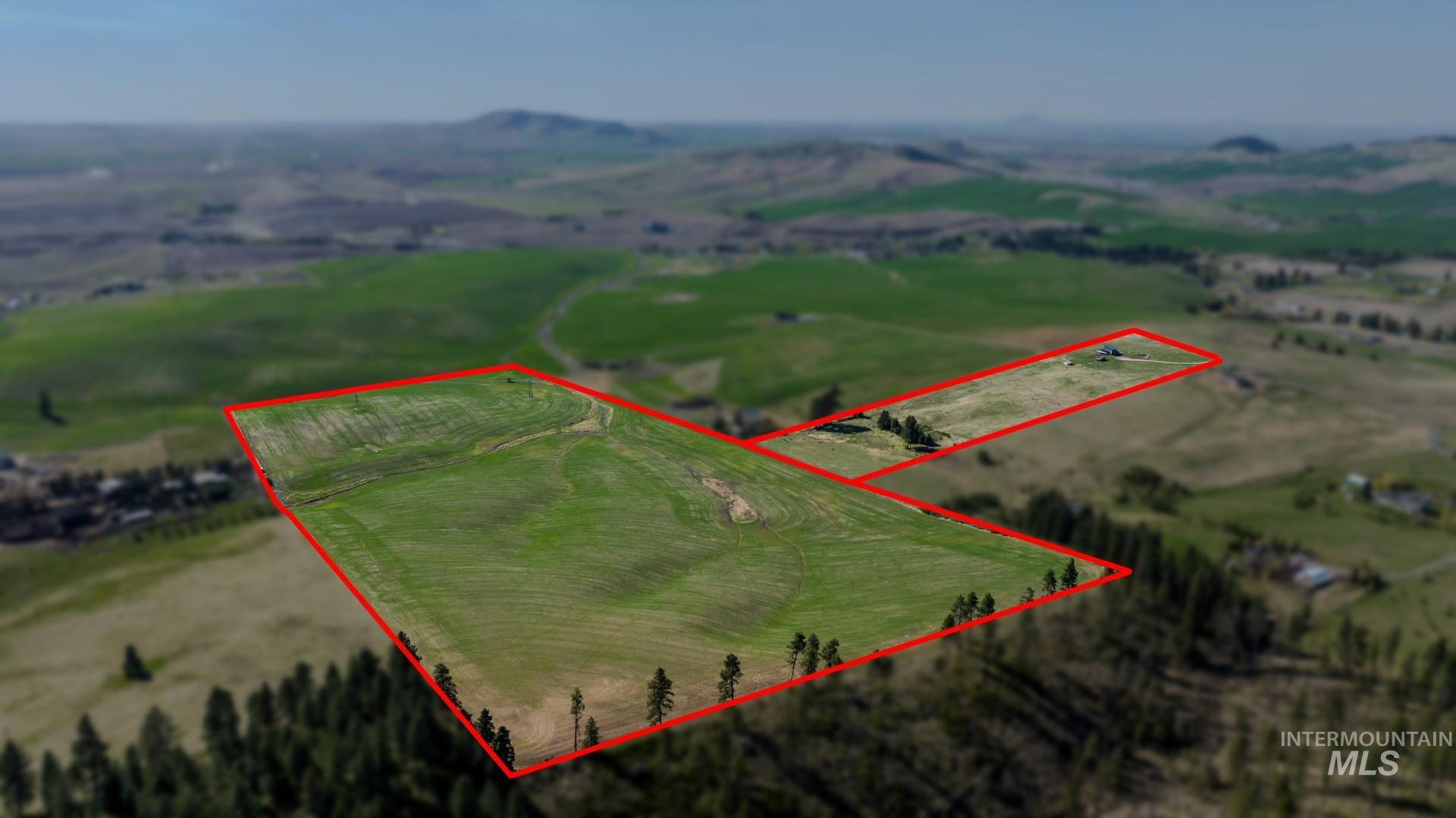 1255 Bluebird Ln (97.85 Acres) Property Photo 1