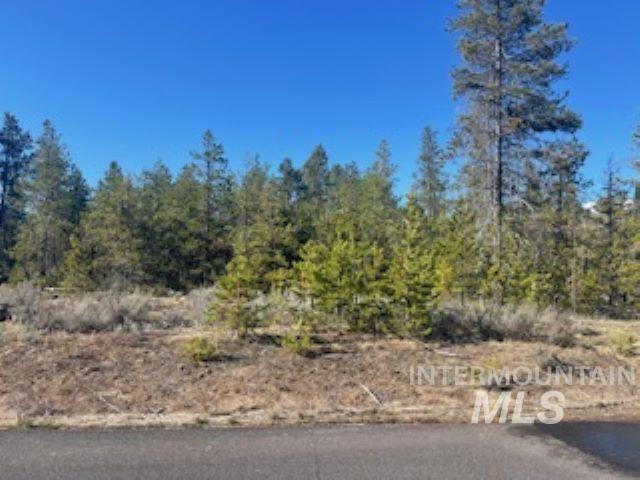 41 Norwood Place Property Photo 2