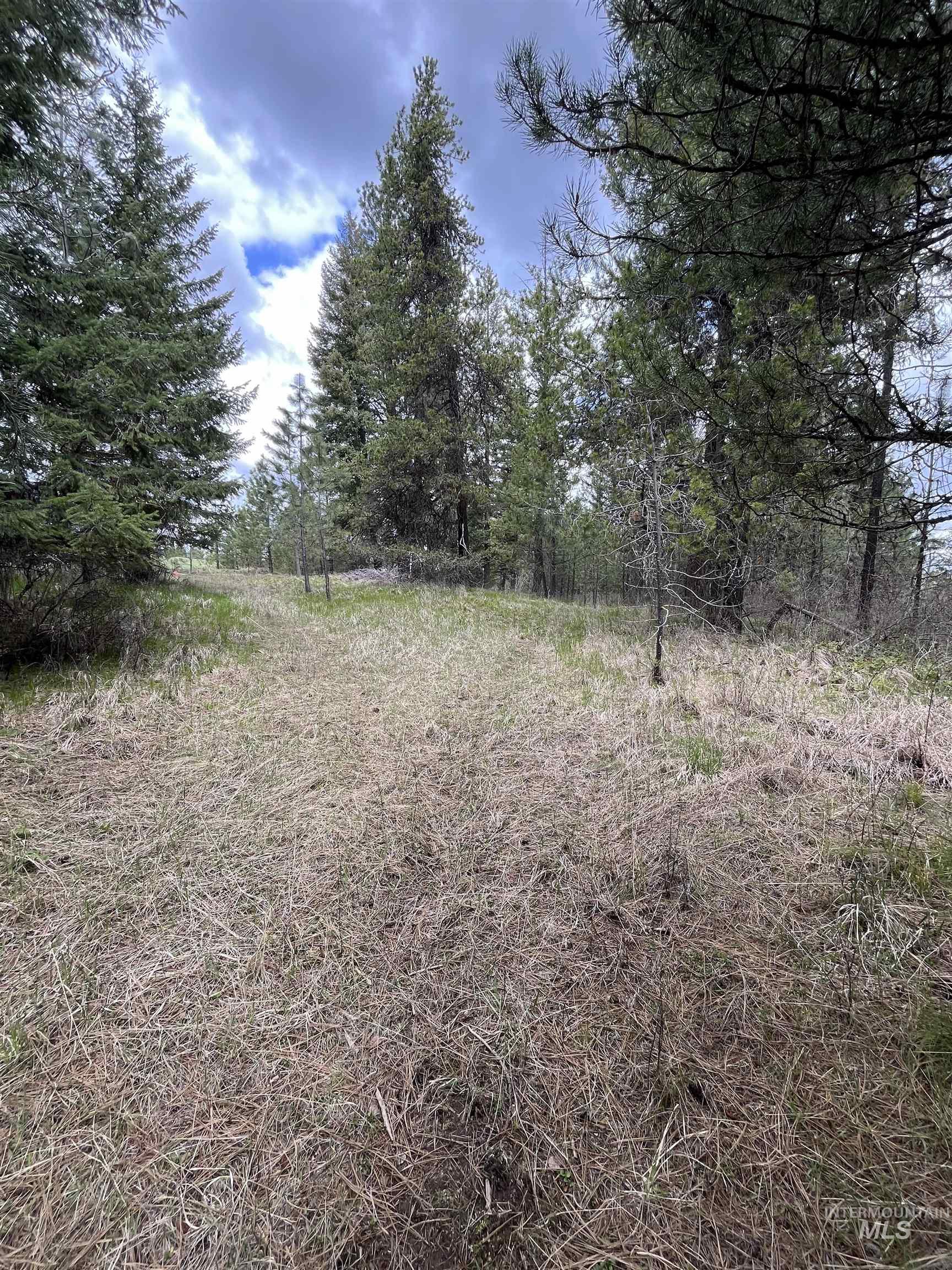 Tbd Hwy 3 Property Photo 4