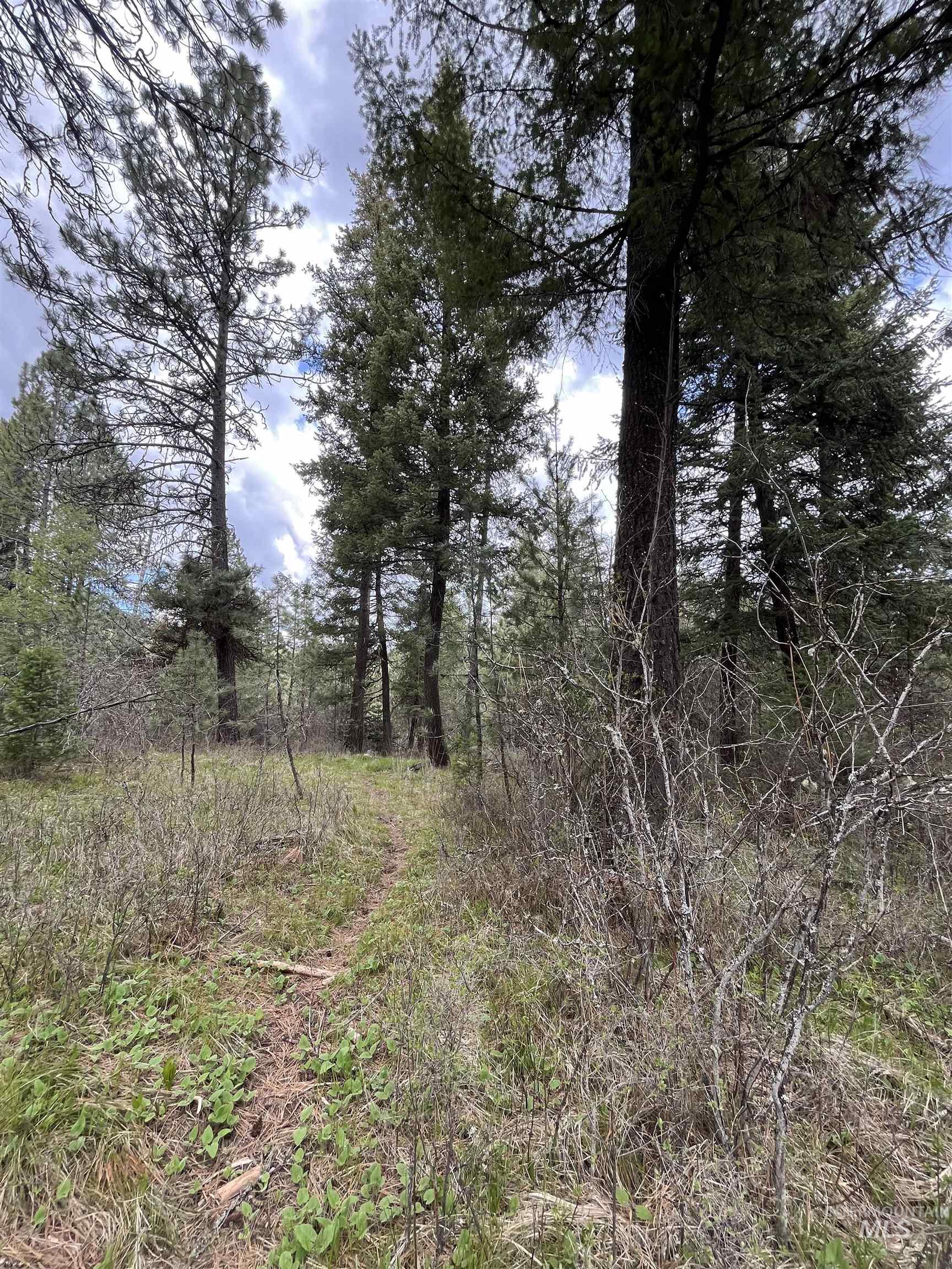 Tbd Hwy 3 Property Photo 5