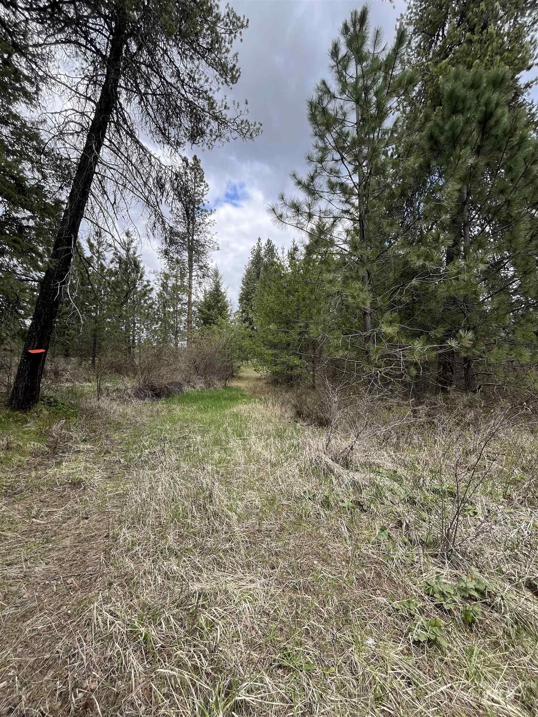 Tbd Hwy 3 Property Photo 6