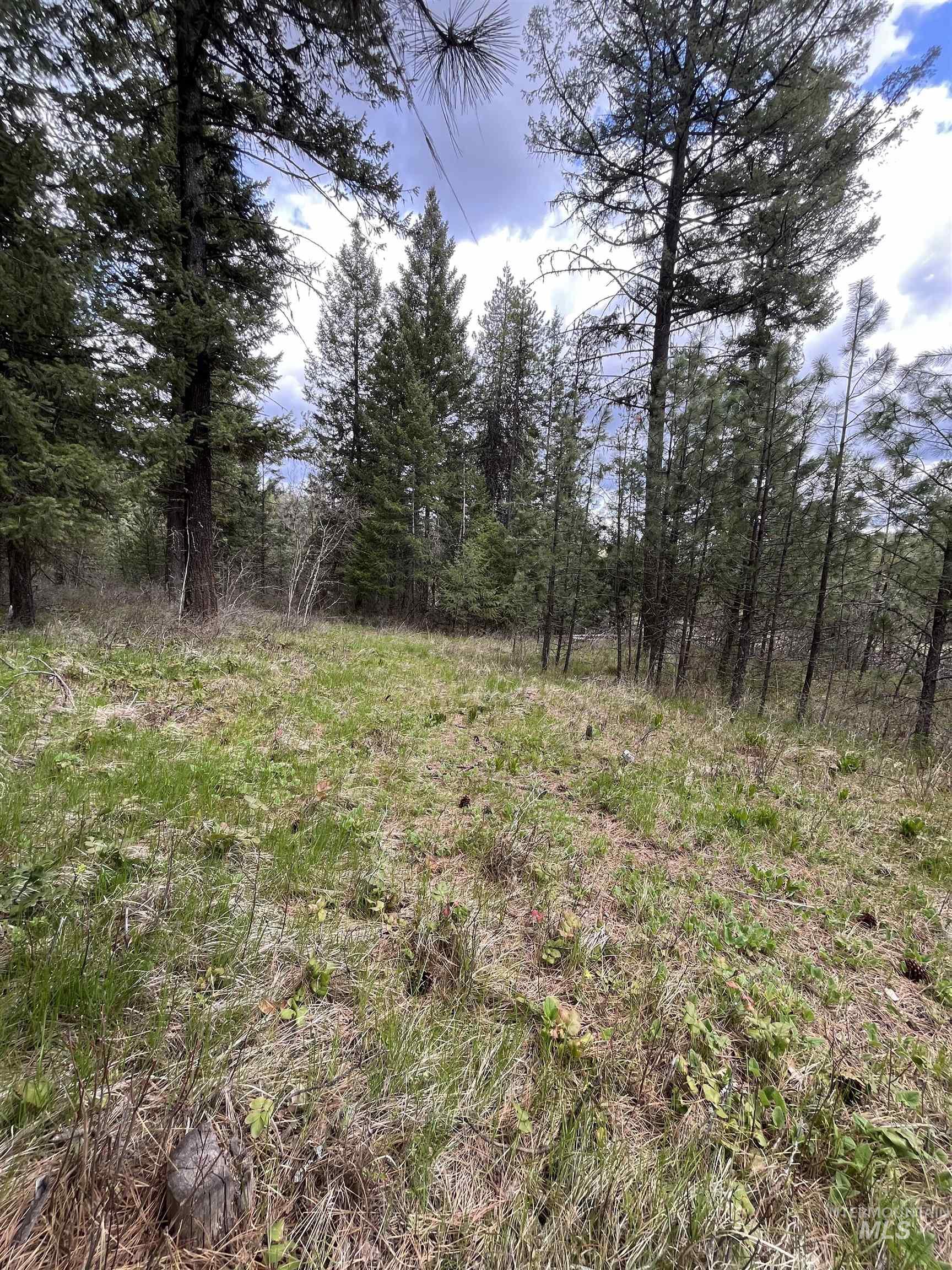 Tbd Hwy 3 Property Photo 7