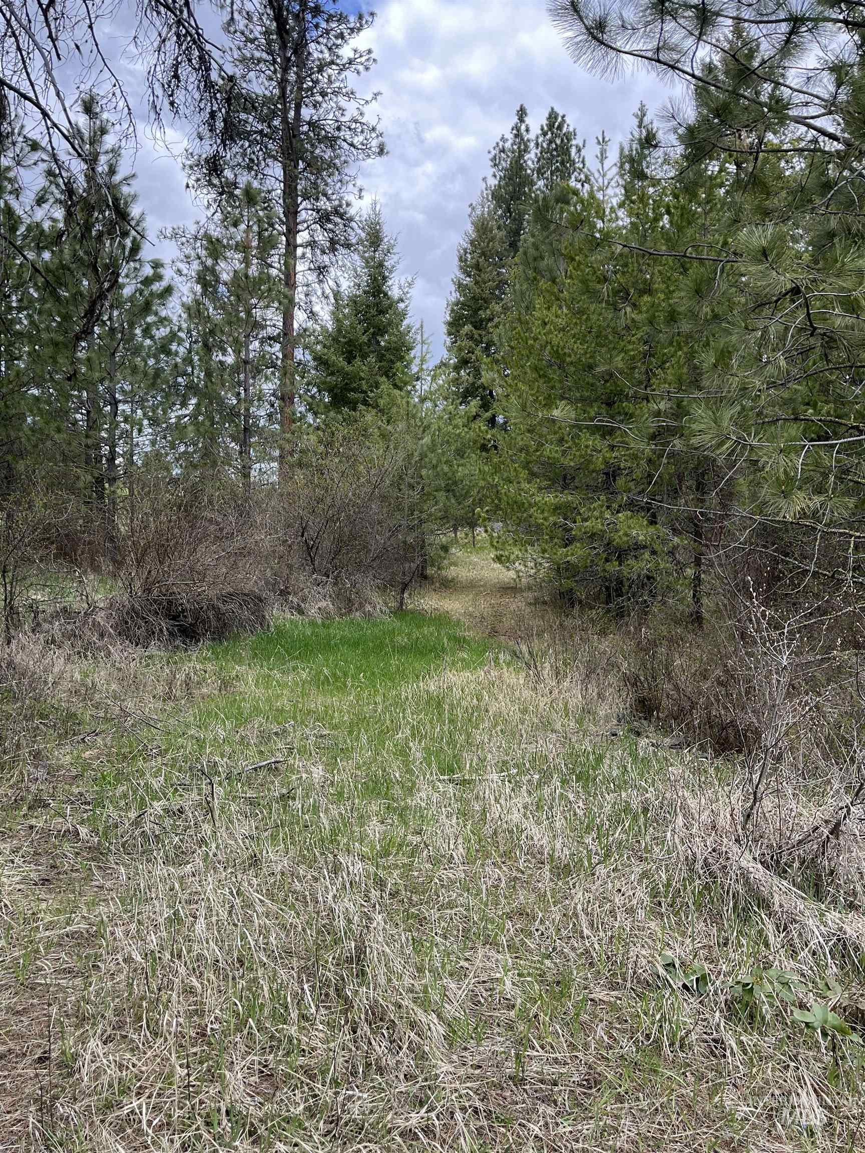 Tbd Hwy 3 Property Photo 8