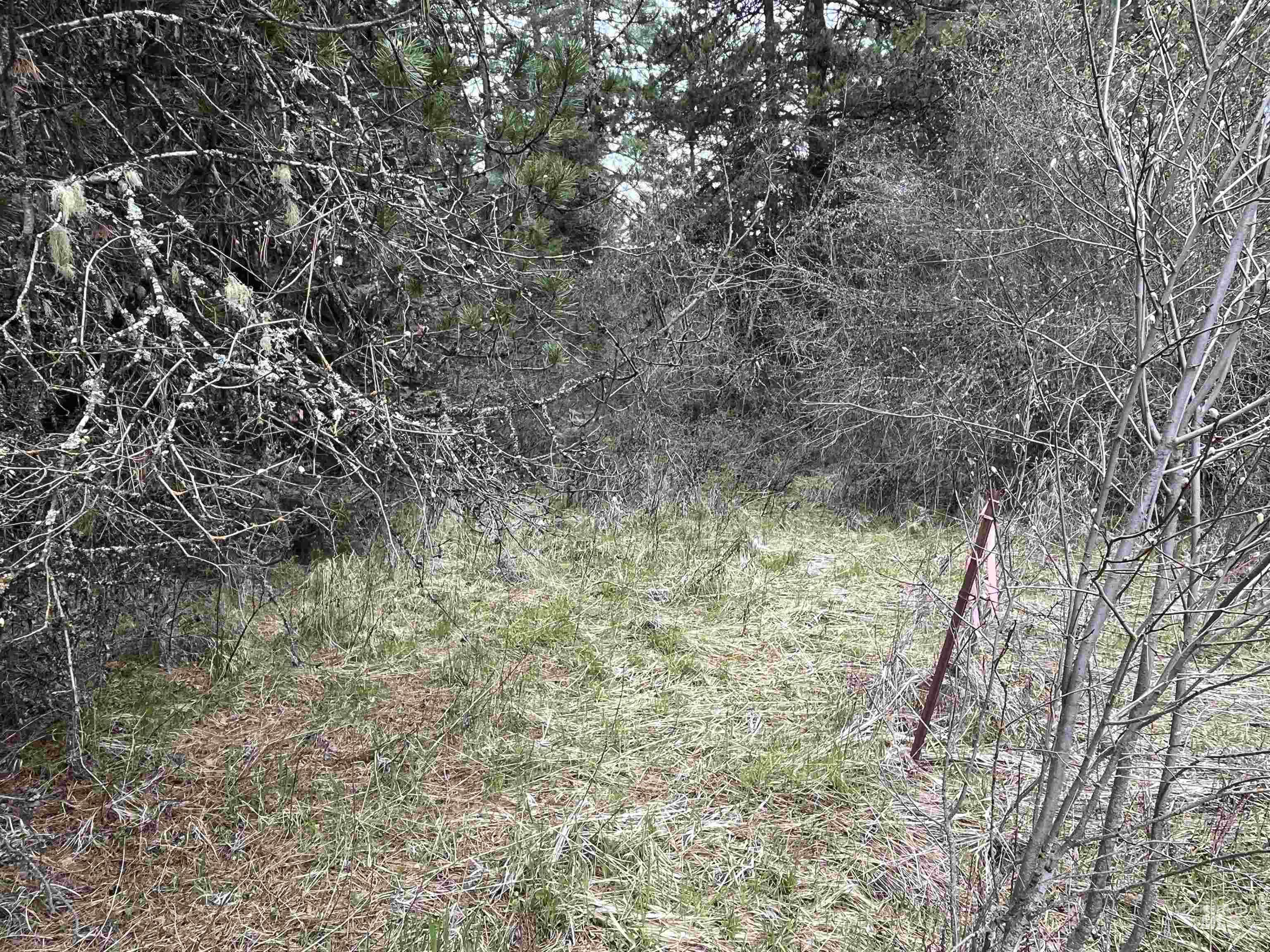Tbd Hwy 3 Property Photo 9
