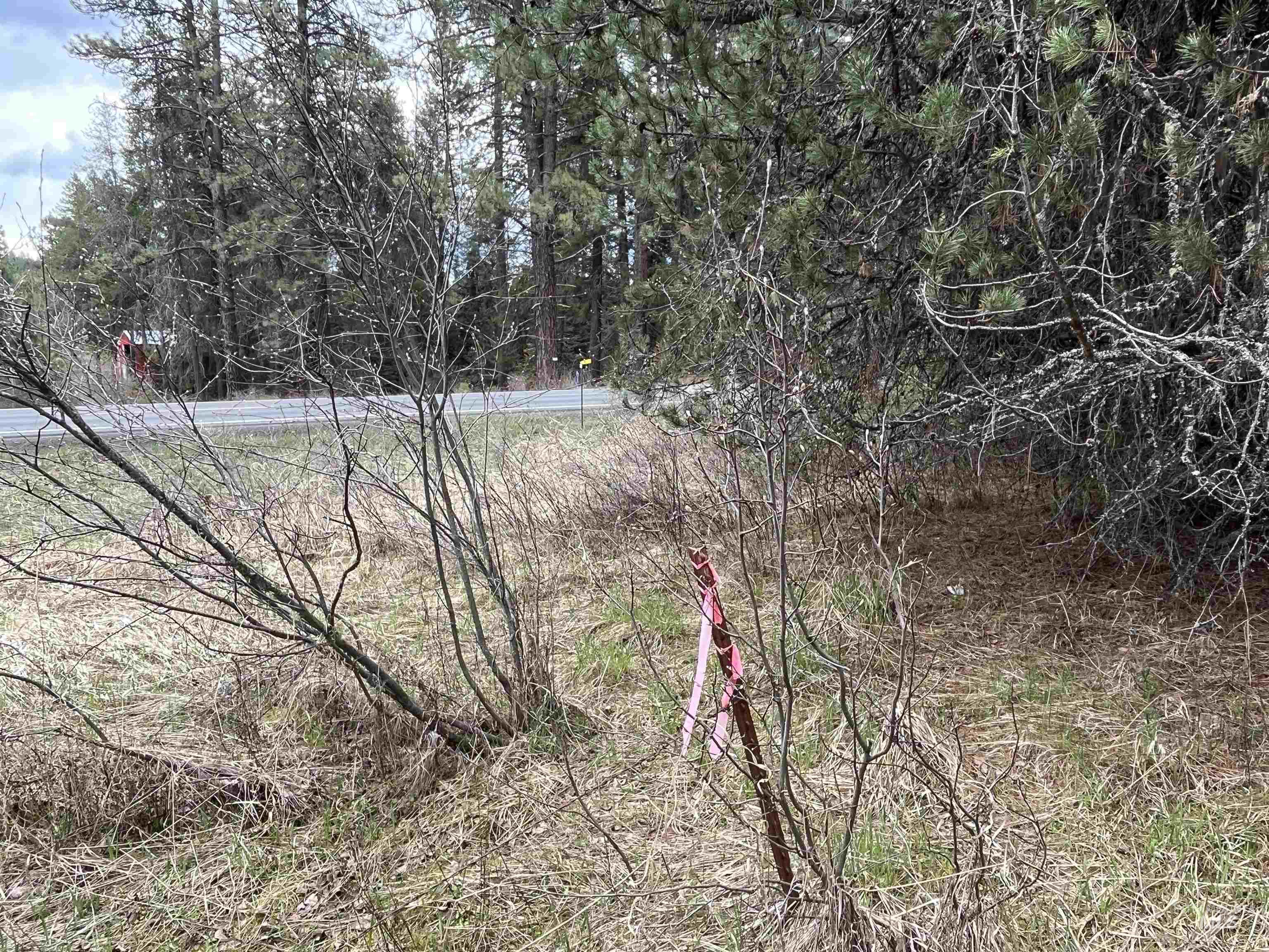 Tbd Hwy 3 Property Photo 10