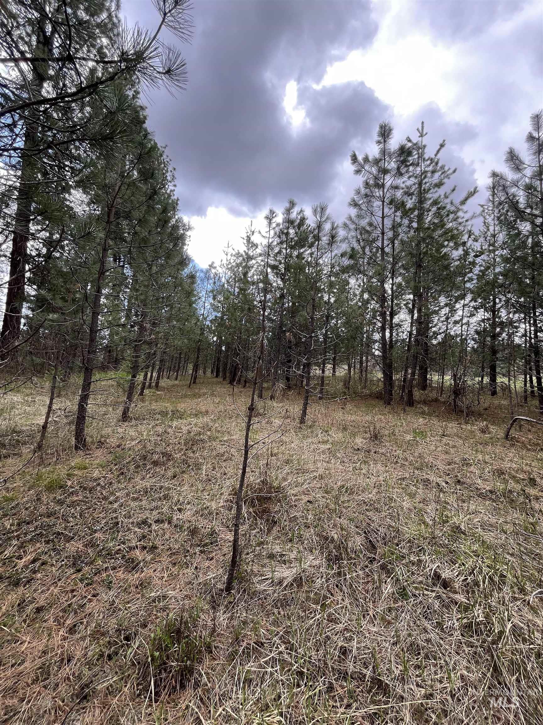 Tbd Hwy 3 Property Photo 11