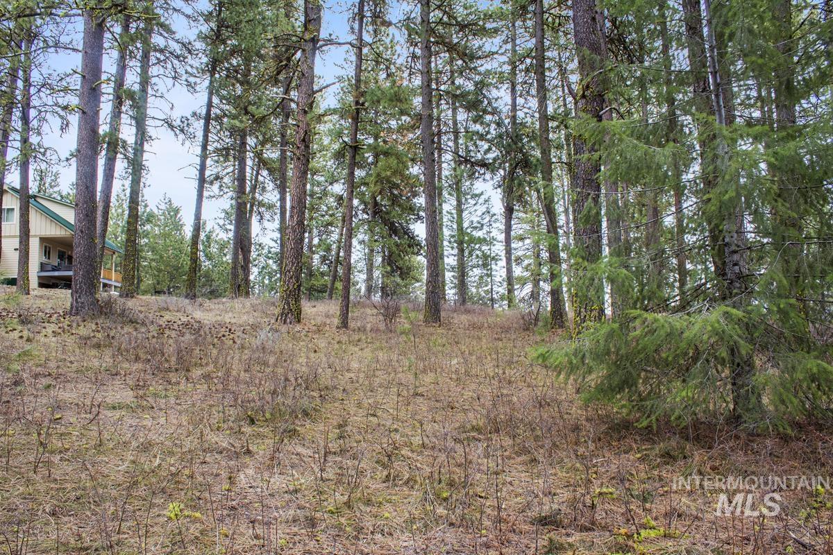 L1 B3 Opal Drive Property Photo 5