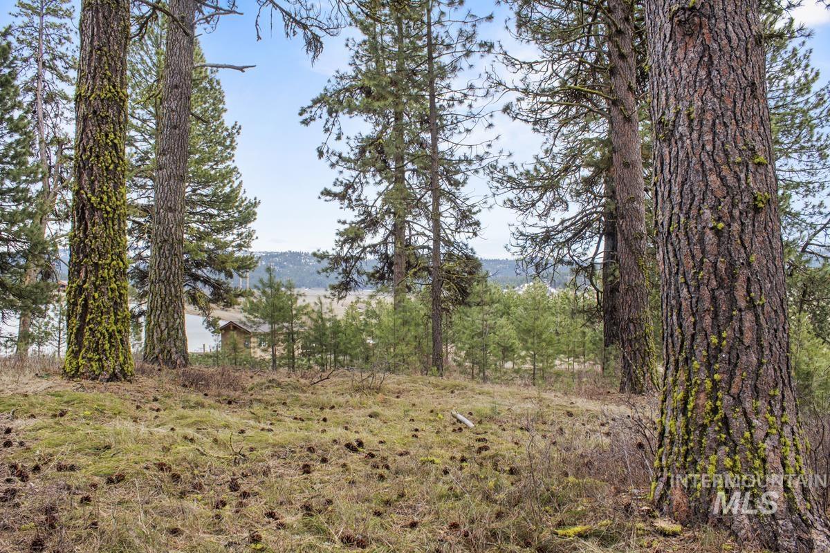 L1 B3 Opal Drive Property Photo 7