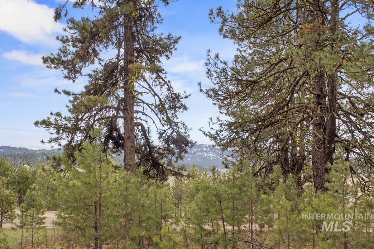 L1 B3 Opal Drive Property Photo 9