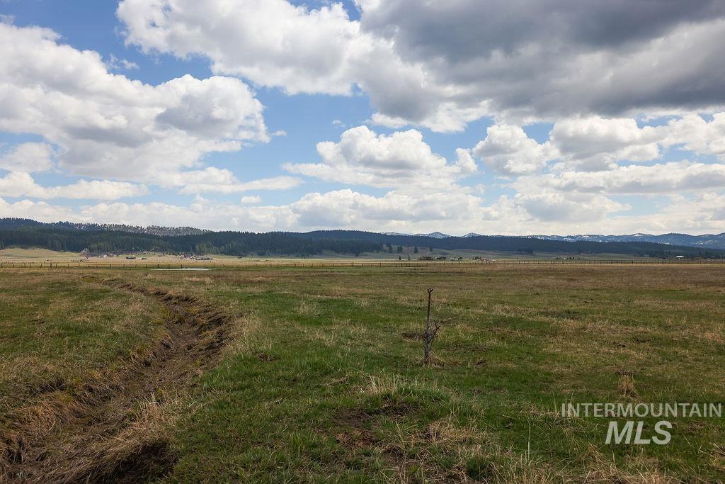 13100 Farm To Market Road Property Photo 42