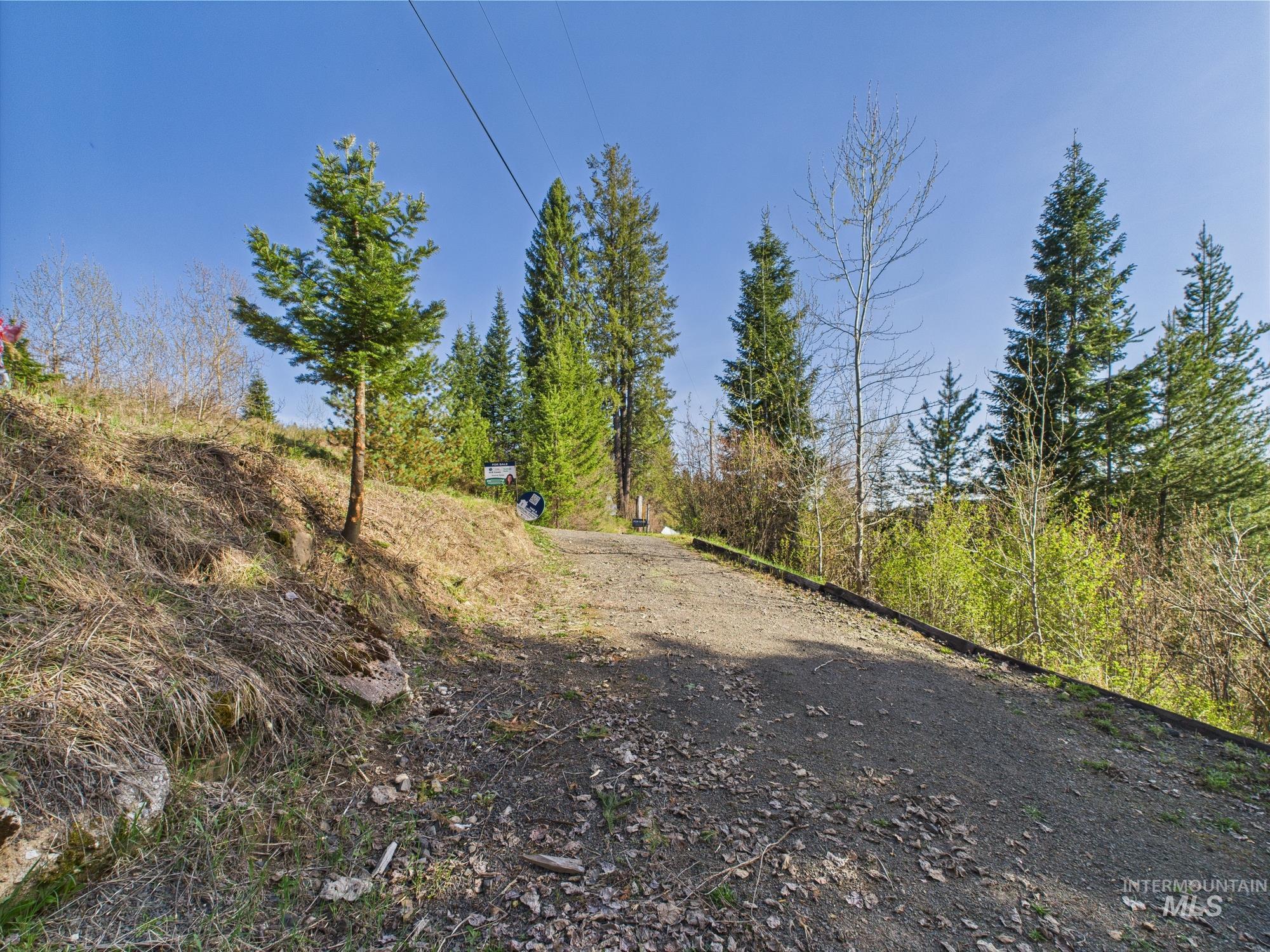 121 Court St Property Photo 19