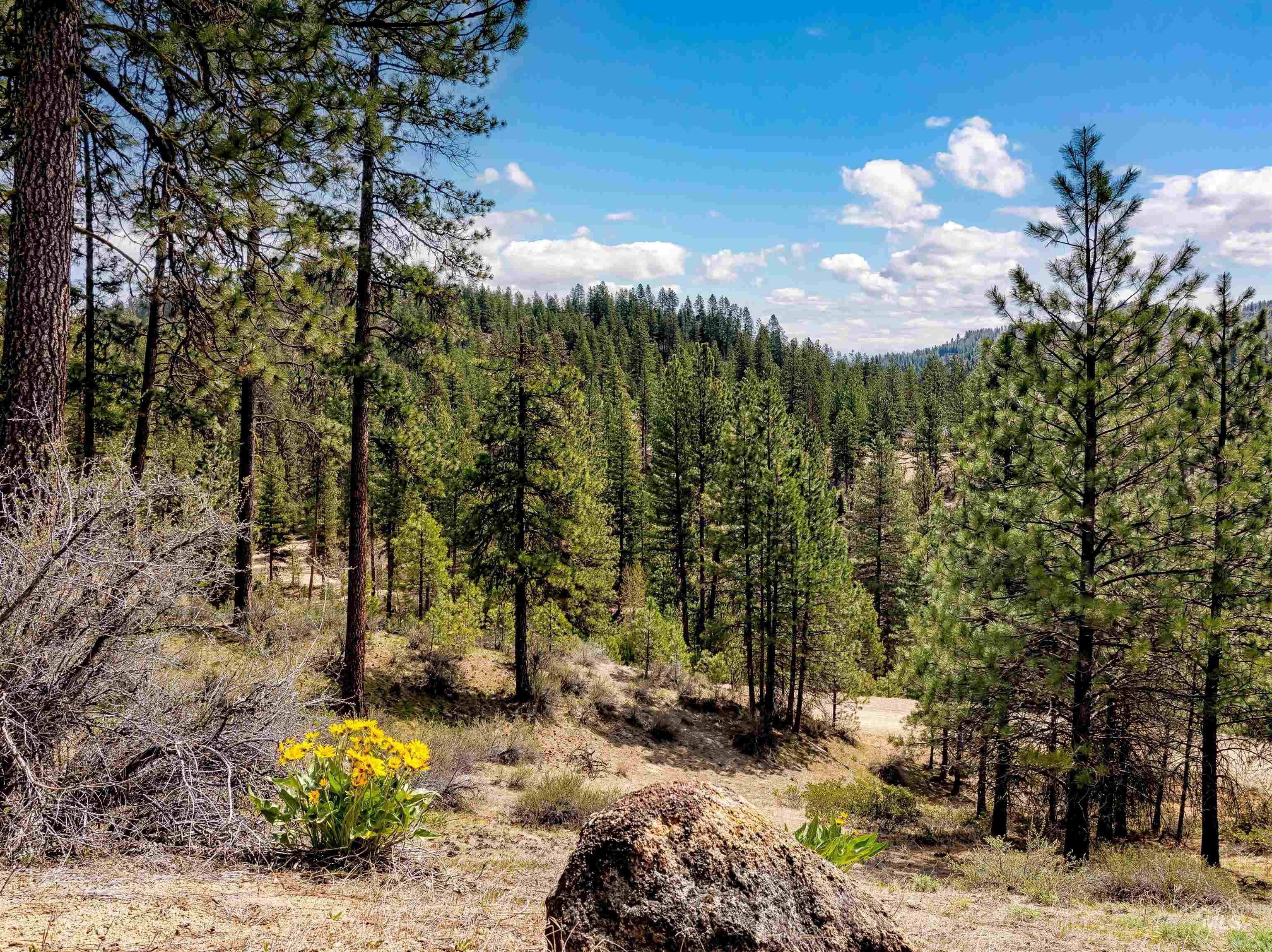 Lot 16 Napias Sub Property Photo 1