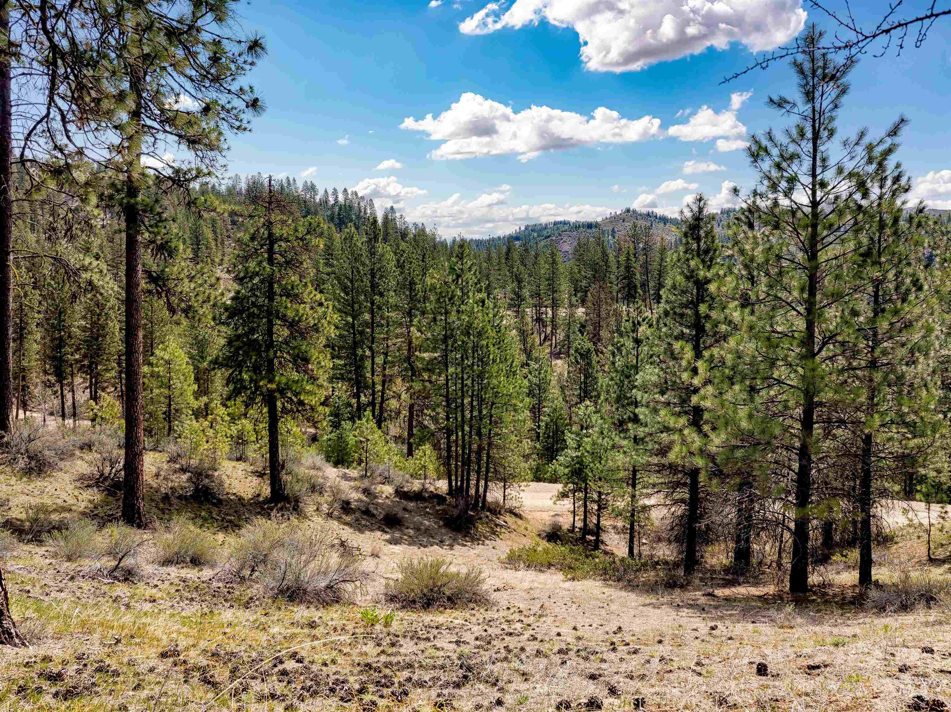 Lot 16 Napias Sub Property Photo 3