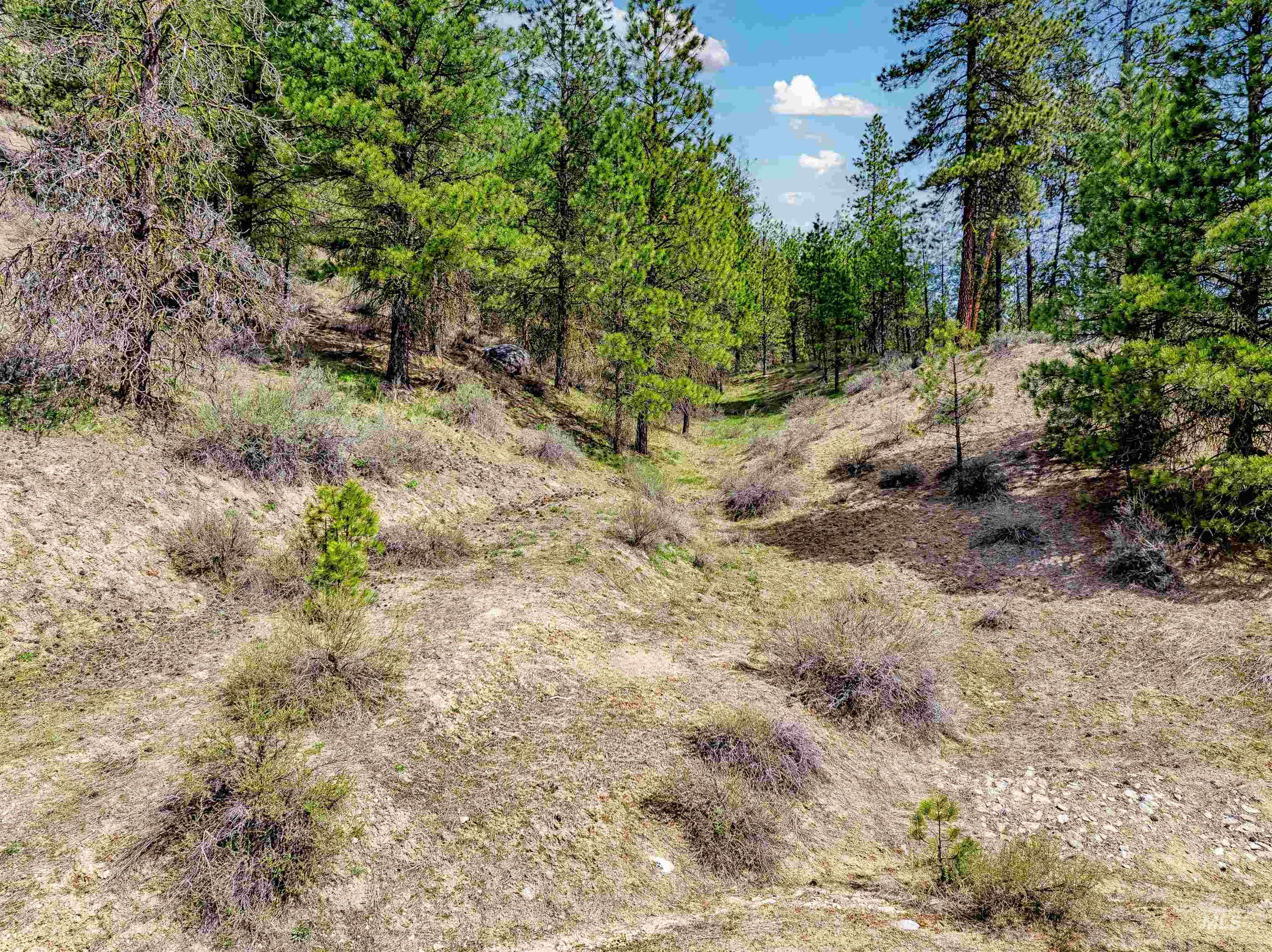 Lot 16 Napias Sub Property Photo 7