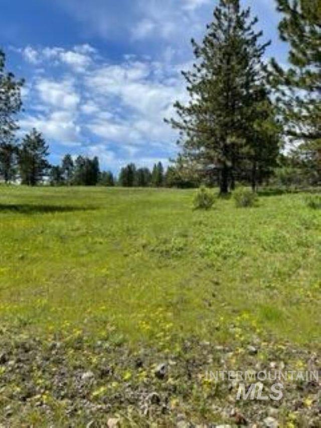 Tbd Tbd Property Photo 2