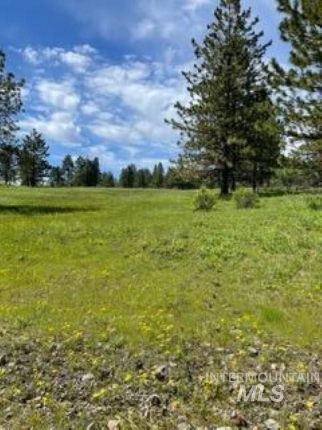 Tbd Tbd Property Photo 4