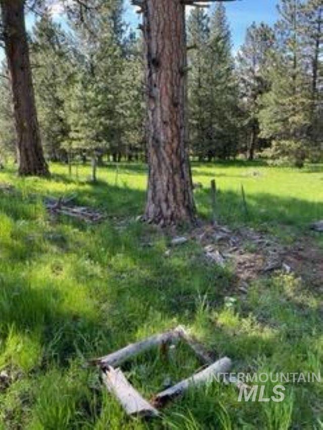 Tbd Tbd Property Photo 5