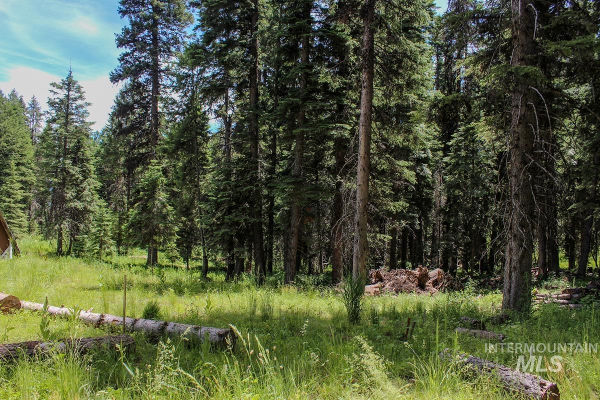 1801 Canary Trail Property Photo 7