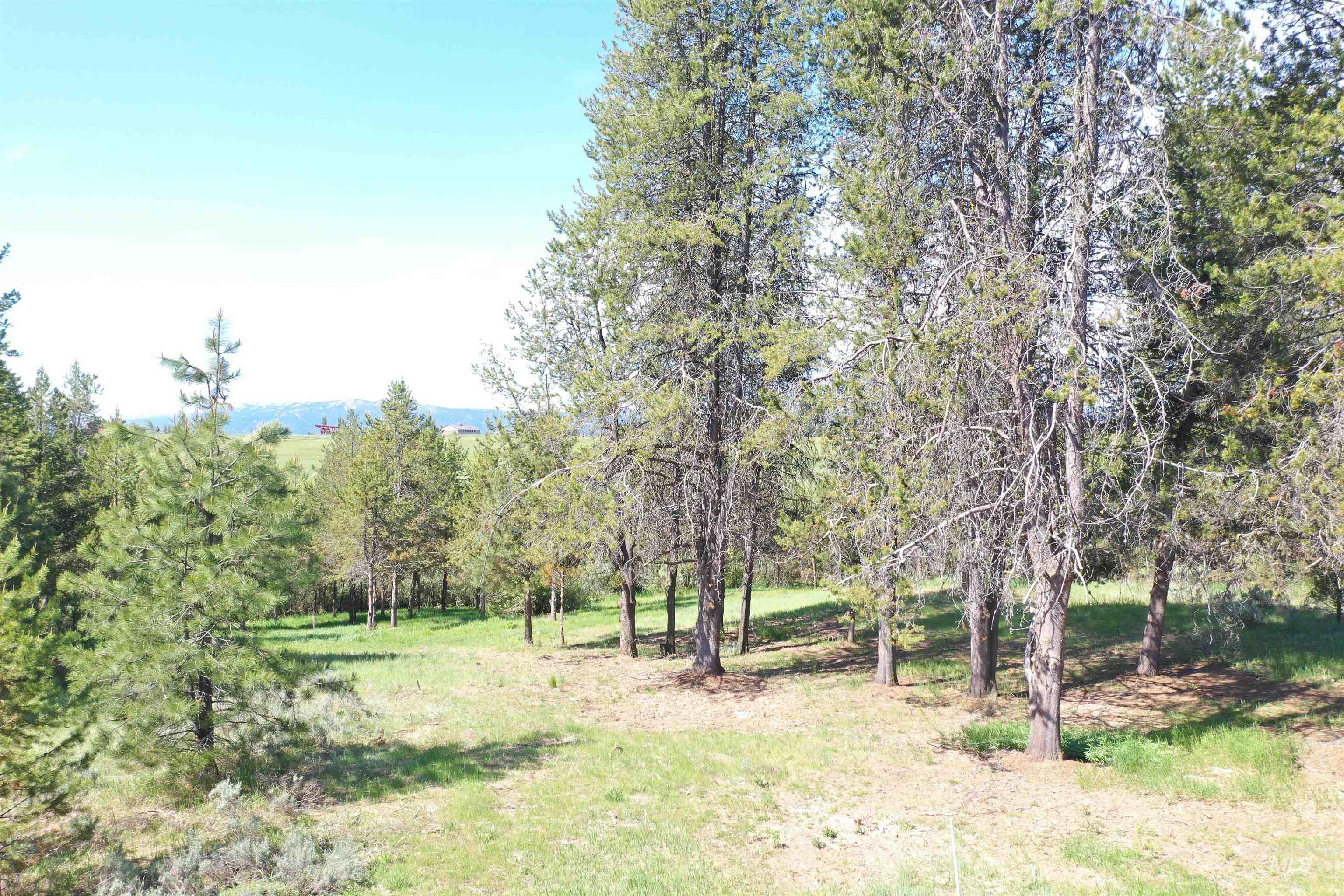 433 Wilhelm Creek Property Photo 2